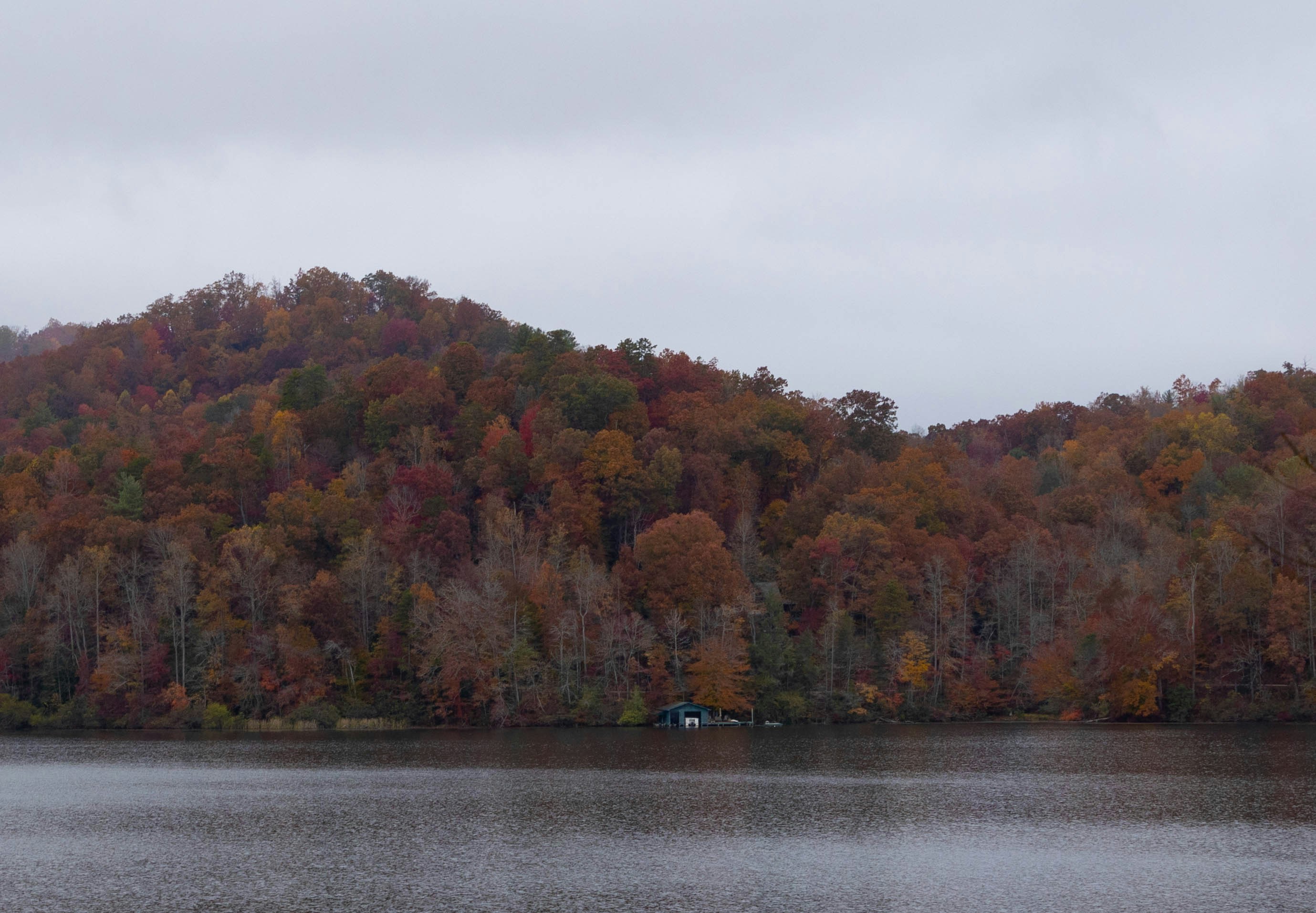 Photo by leslie_outofdoors