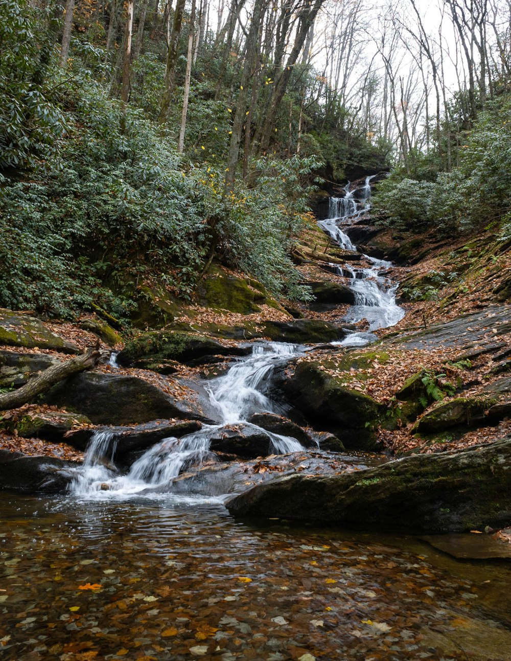 a small waterfall in a forest