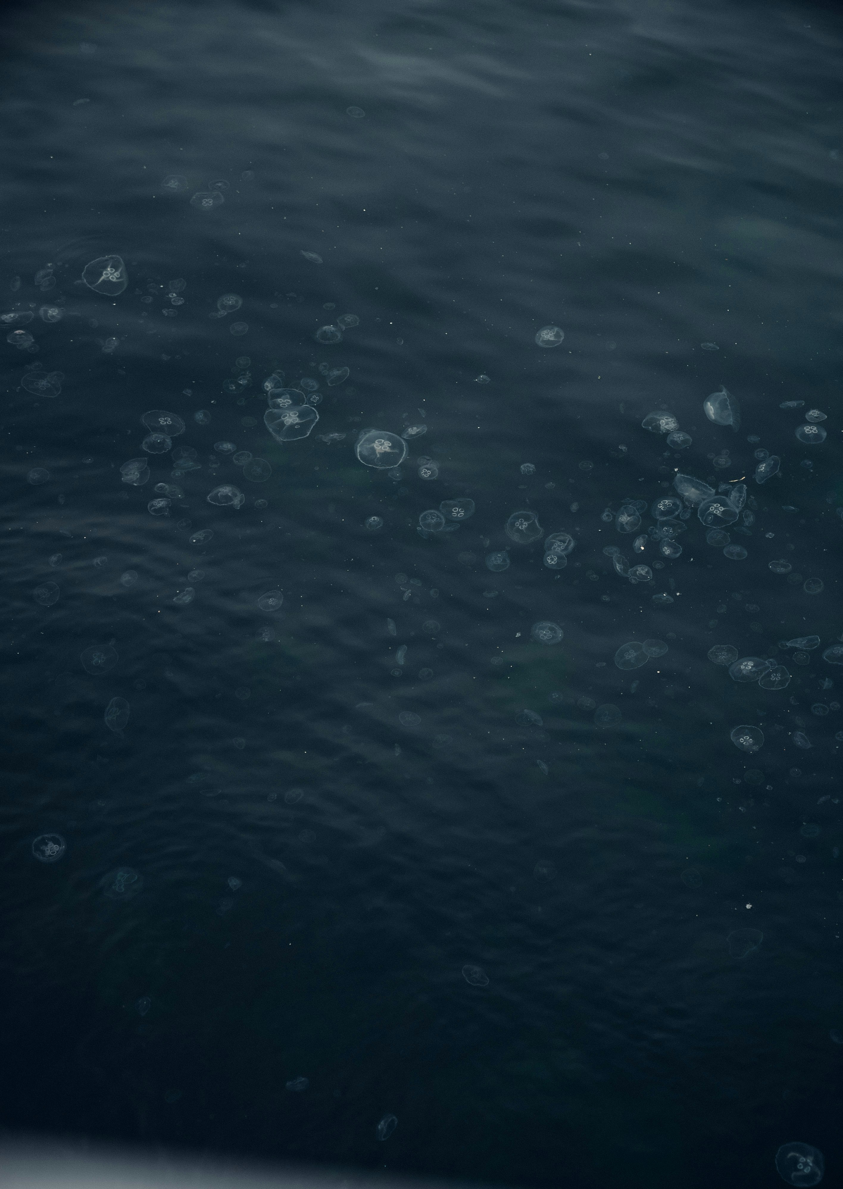 water droplets on a surface