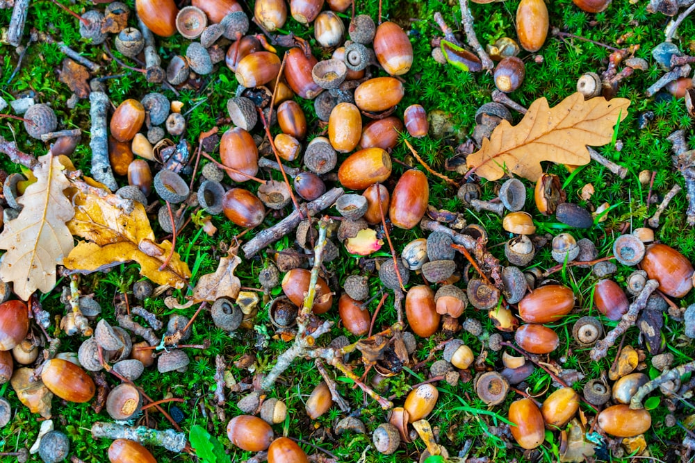 a pile of colorful vegetables