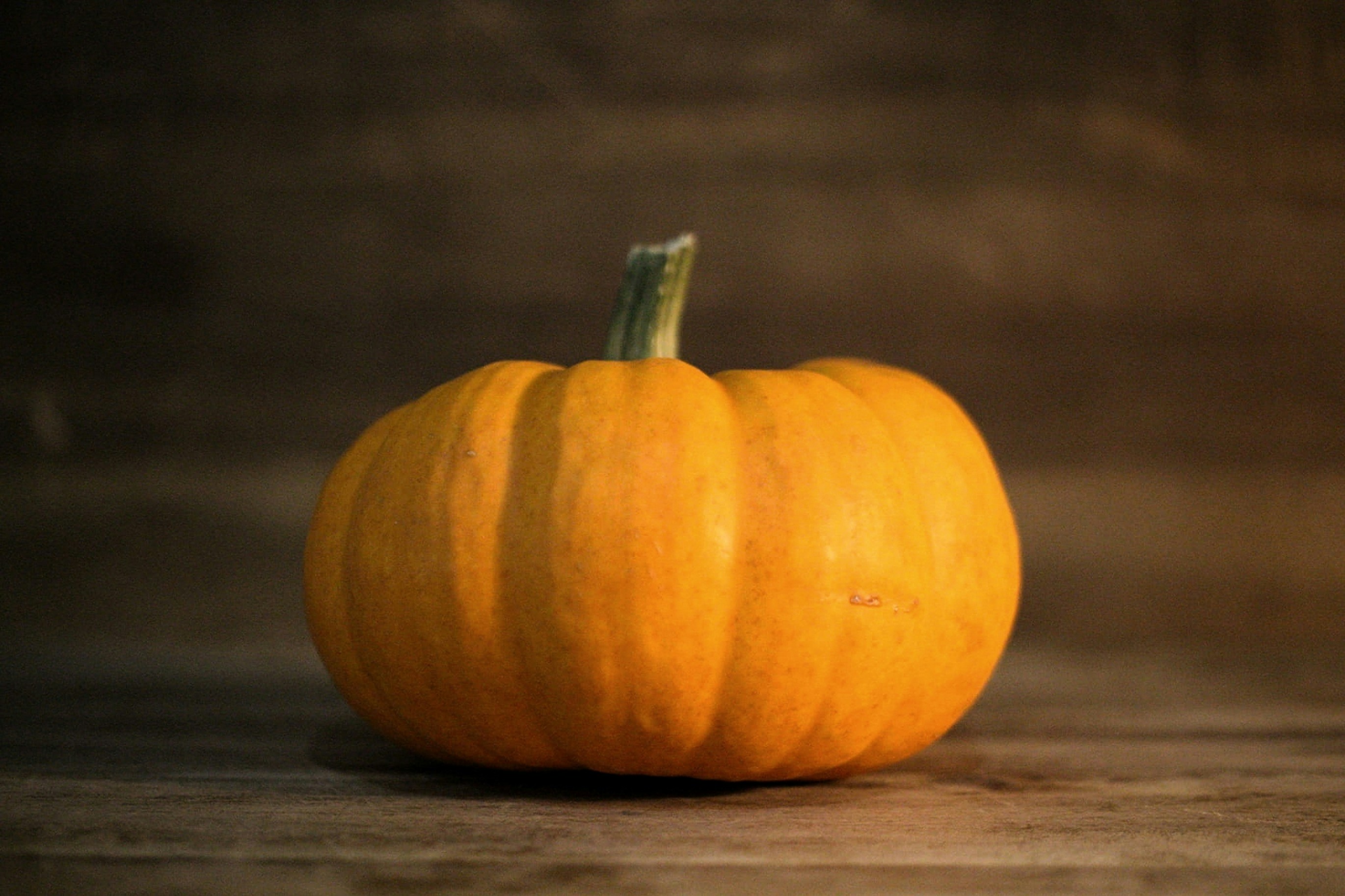 素食滷筍乾：素食料理的美味新體驗