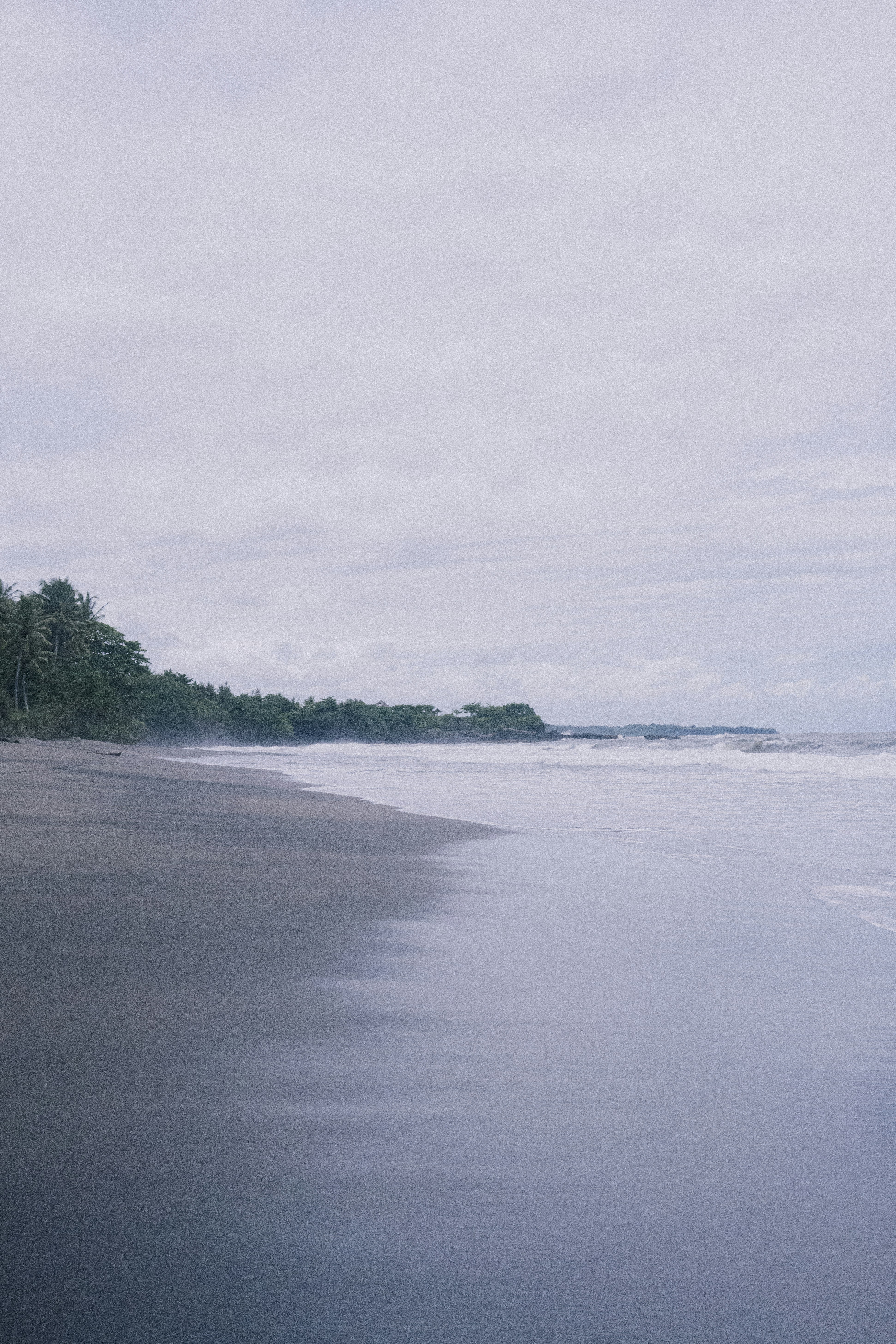 a beach with trees on the side