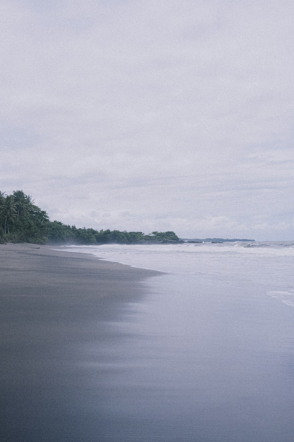 a beach with trees on the side