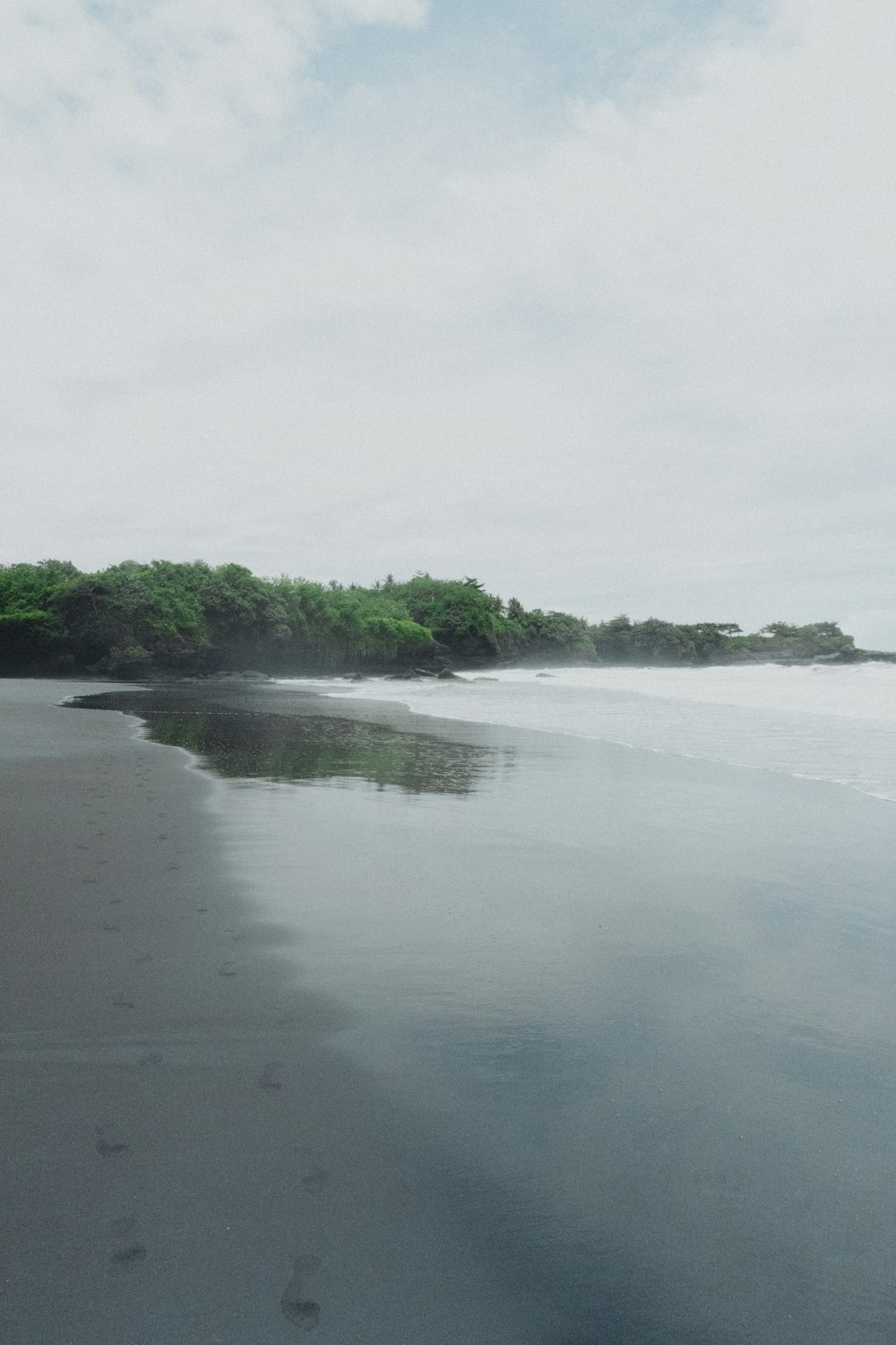 Una playa con árboles al fondo