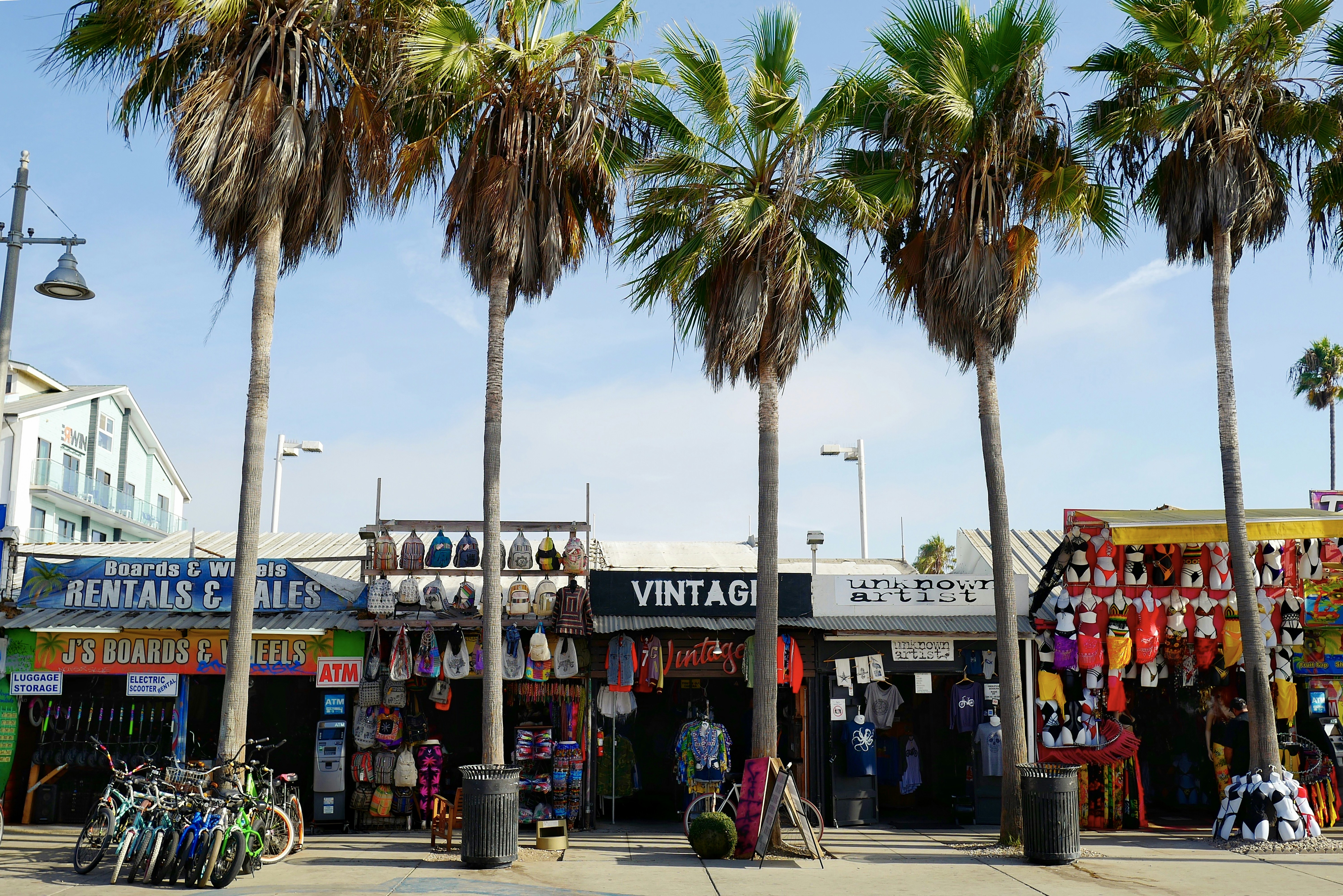 a street with palm trees and shops