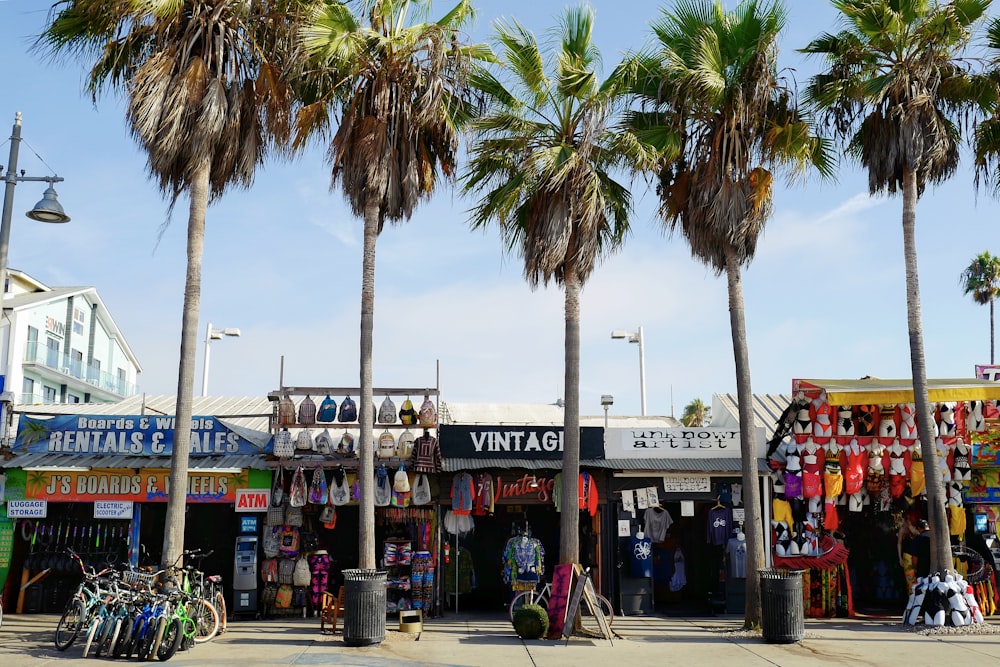a street with palm trees and shops