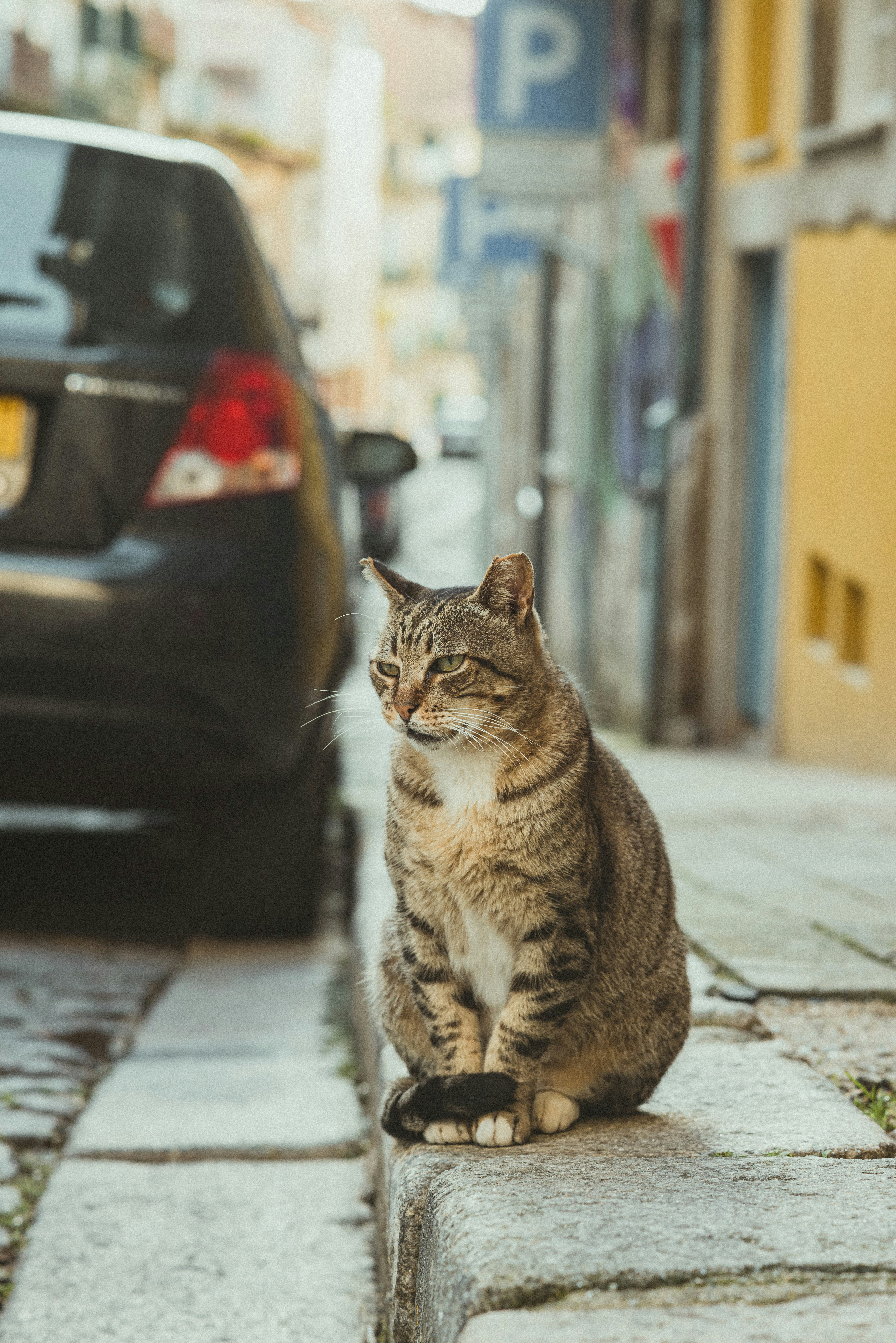 Photo by isaactmitchell