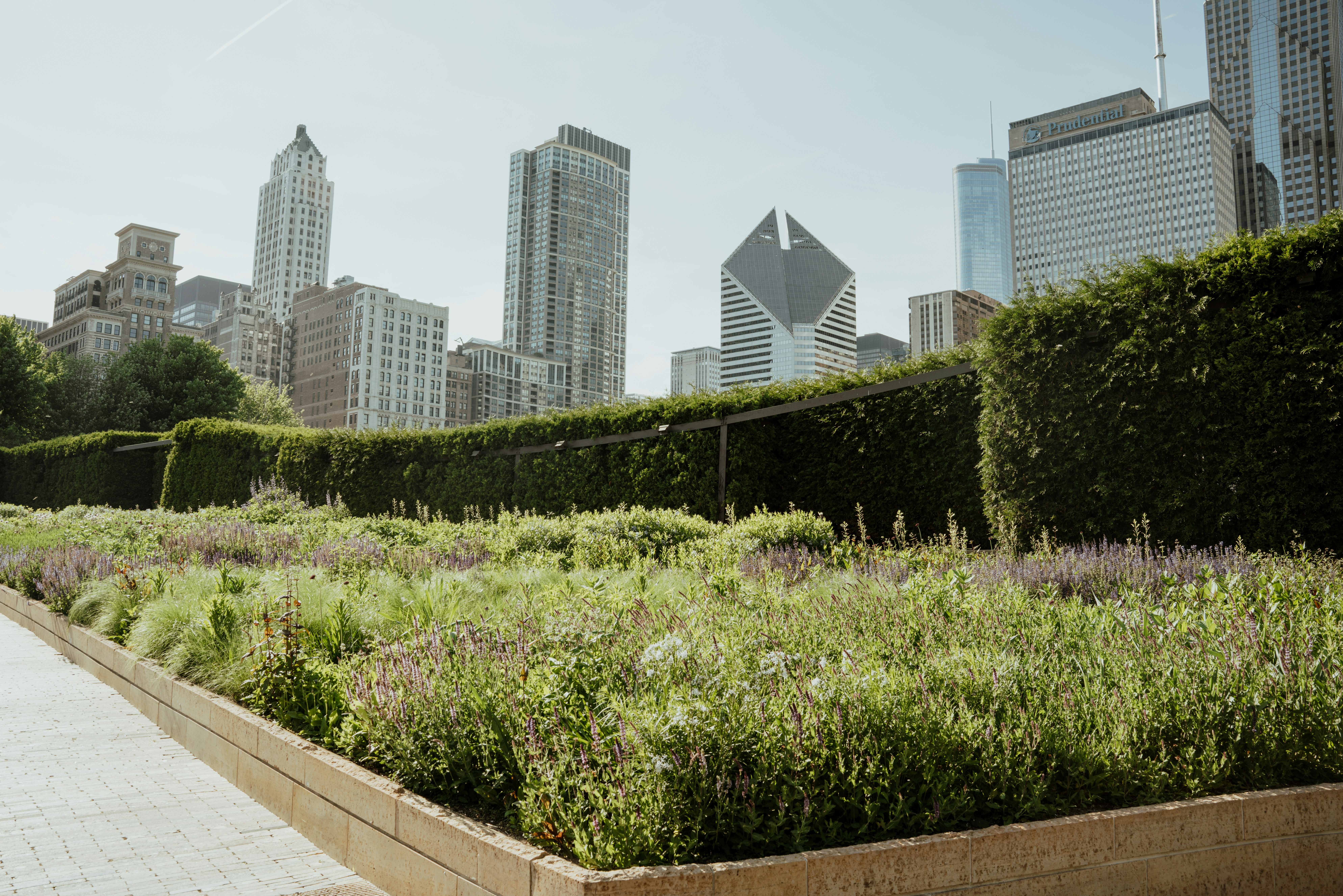 city garden rebate