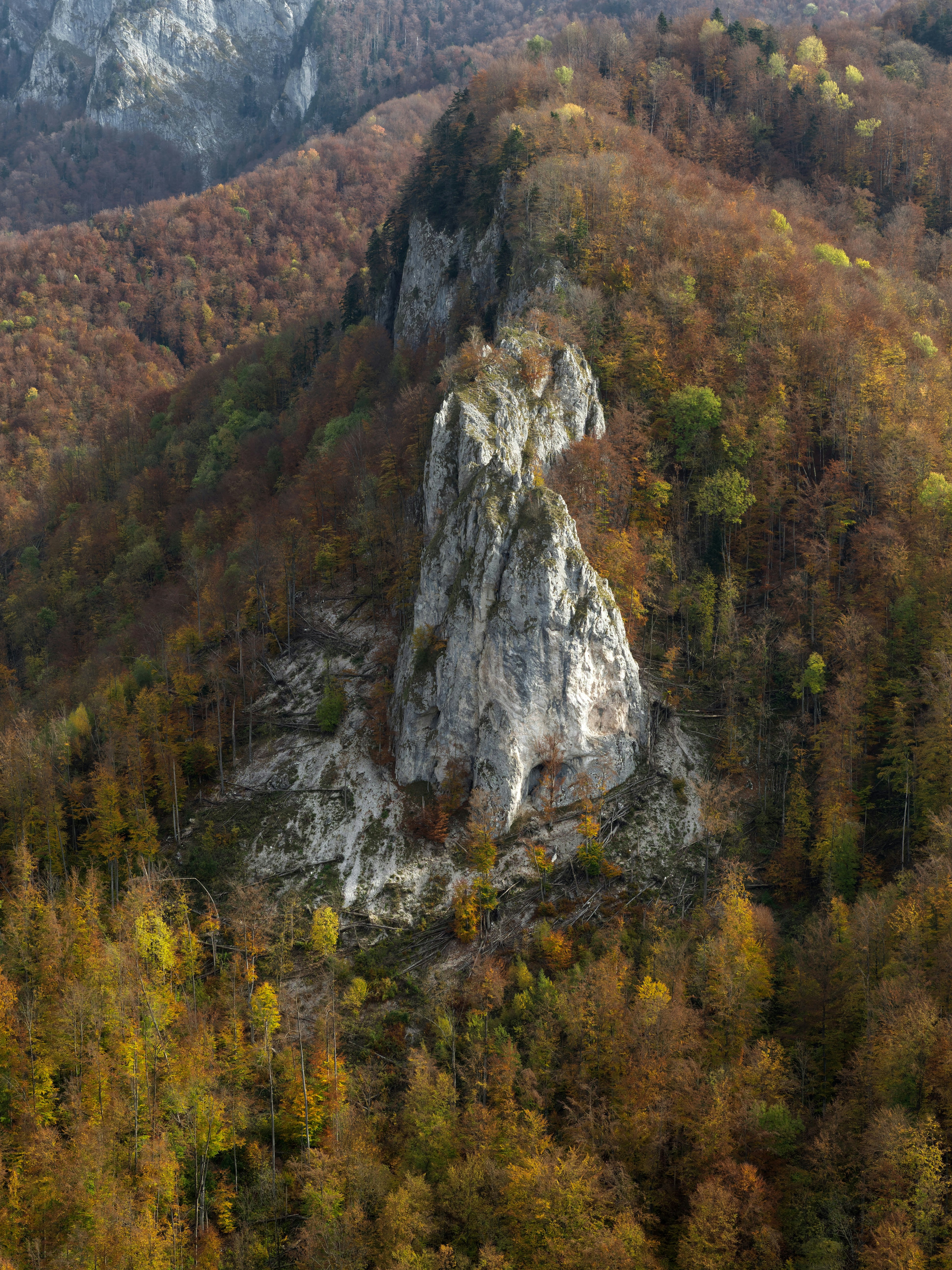 Photo by illes_cristi