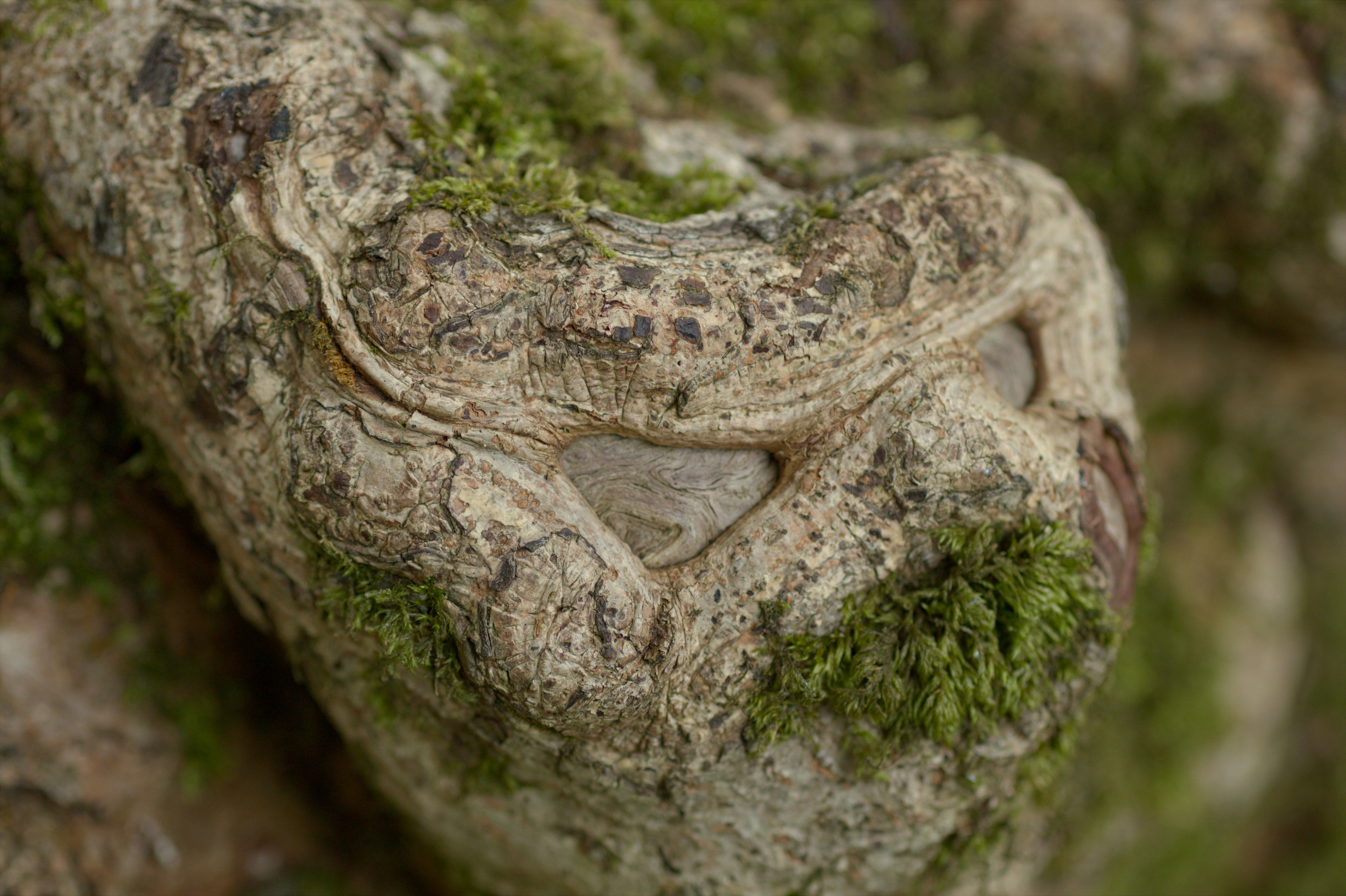 Photo by fidgetingferdie