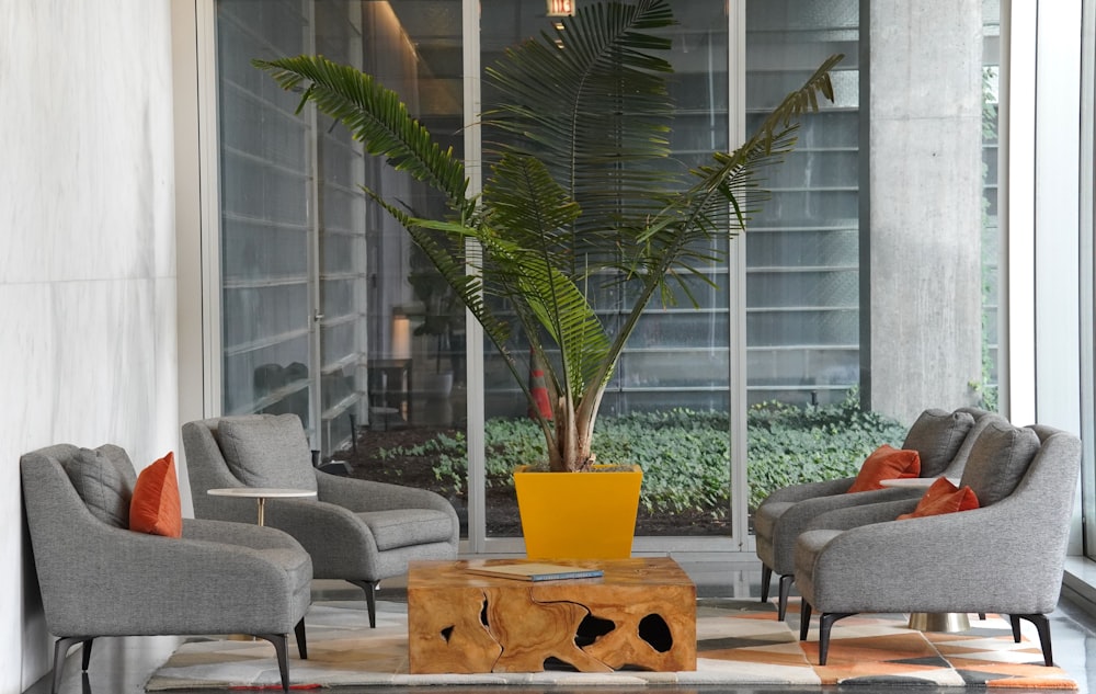 a living room with a planter and chairs