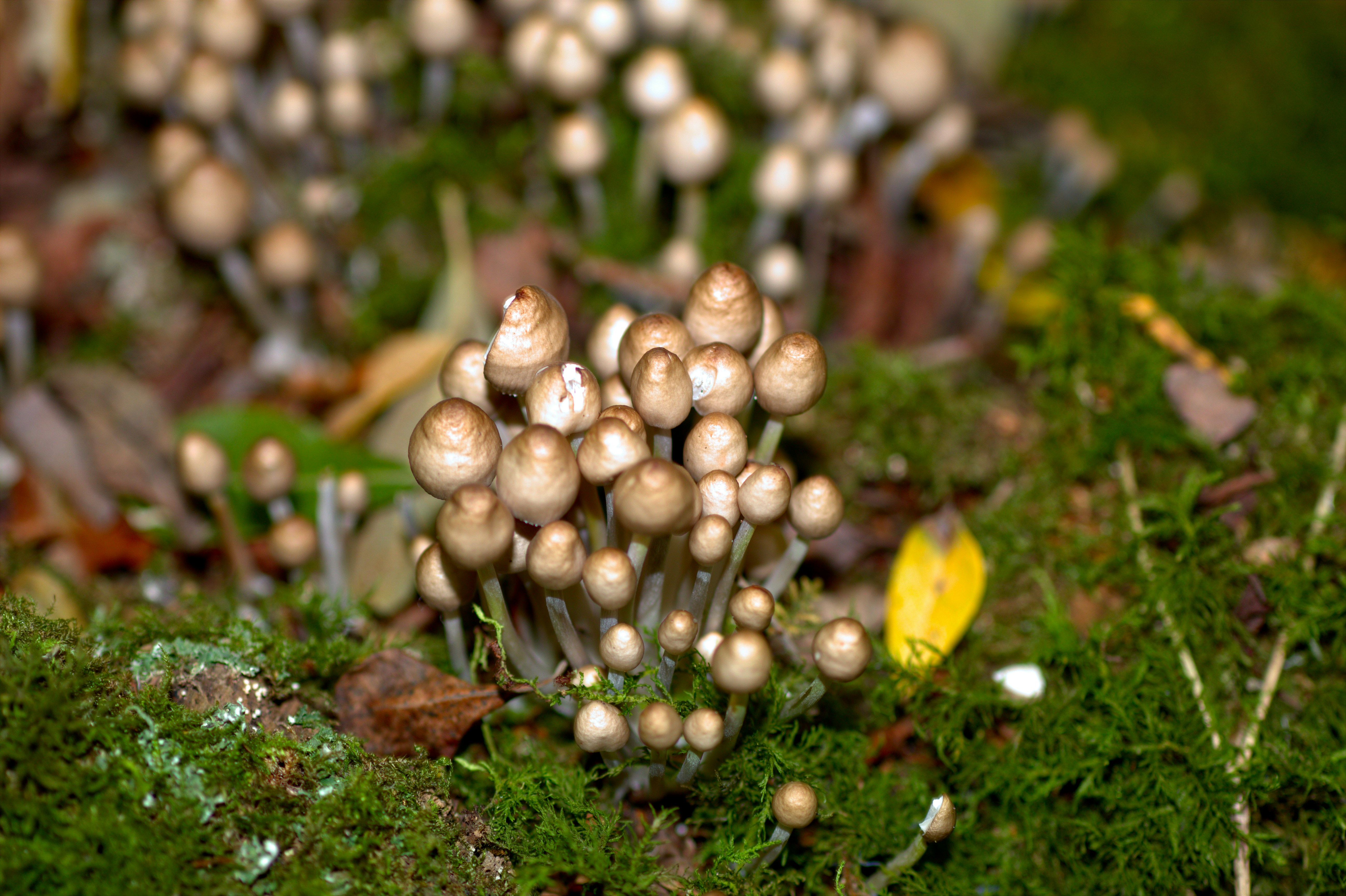 Photo by fidgetingferdie