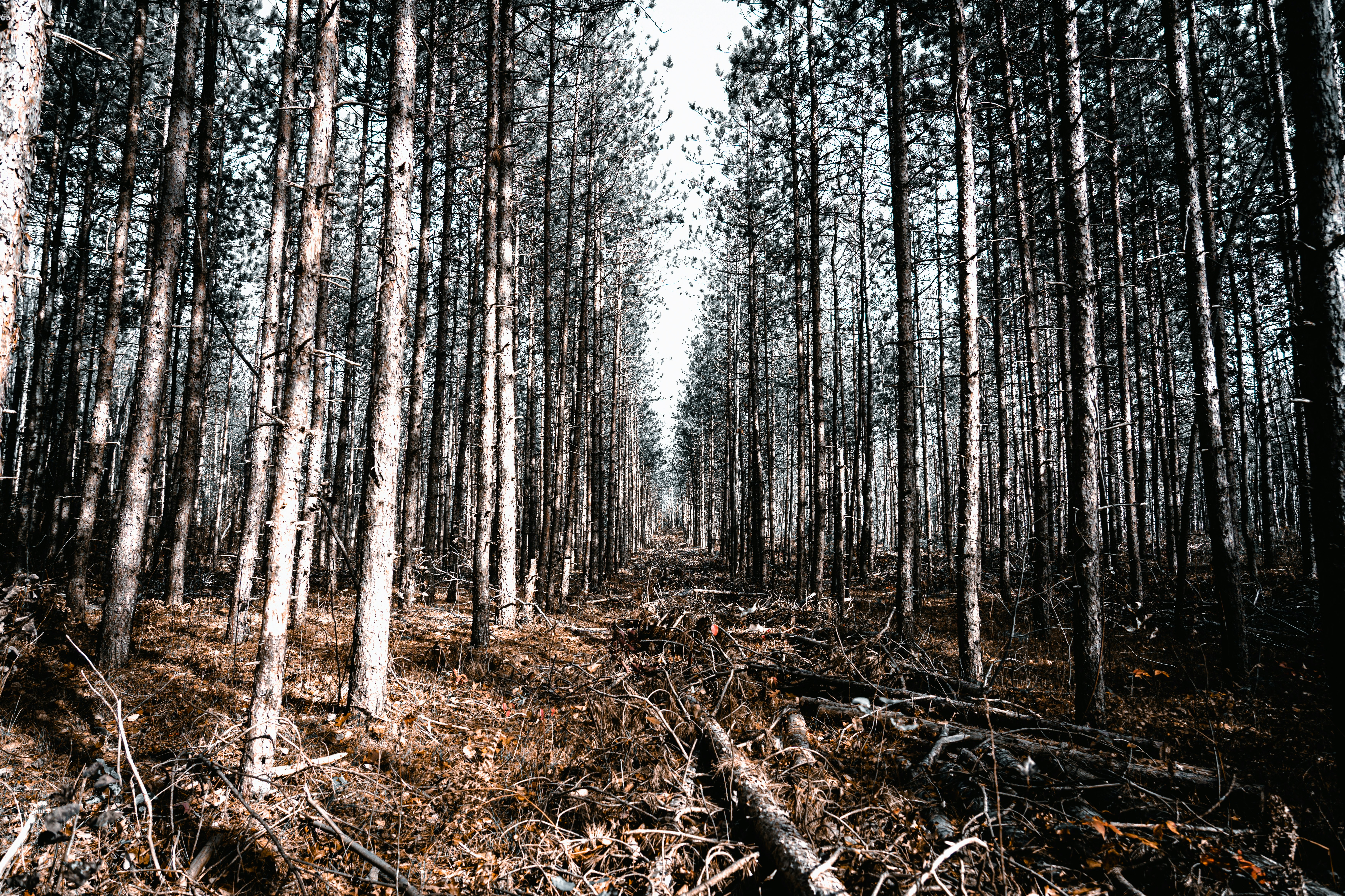 Photo by chris_robert