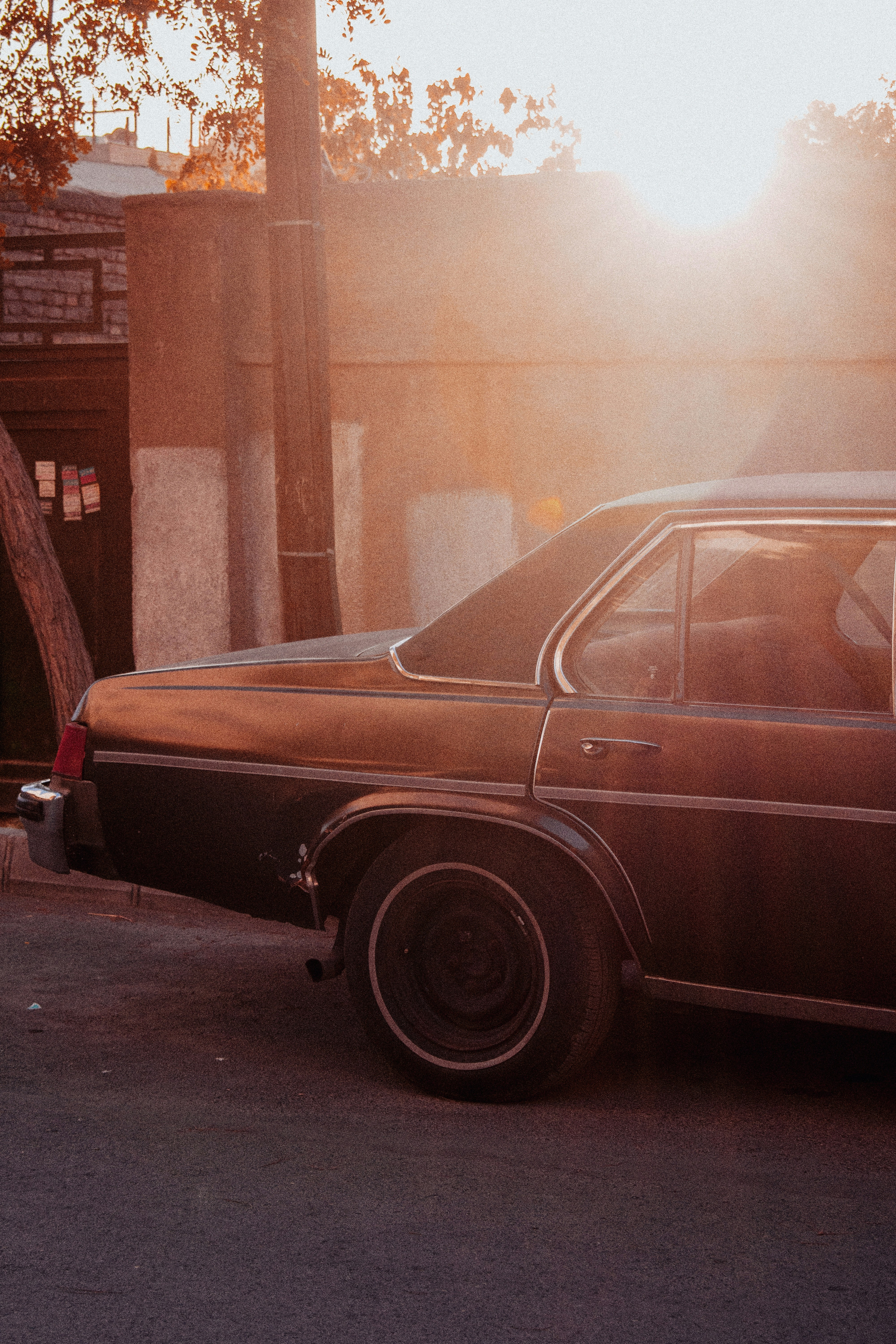 Photo by ilostmyselfout