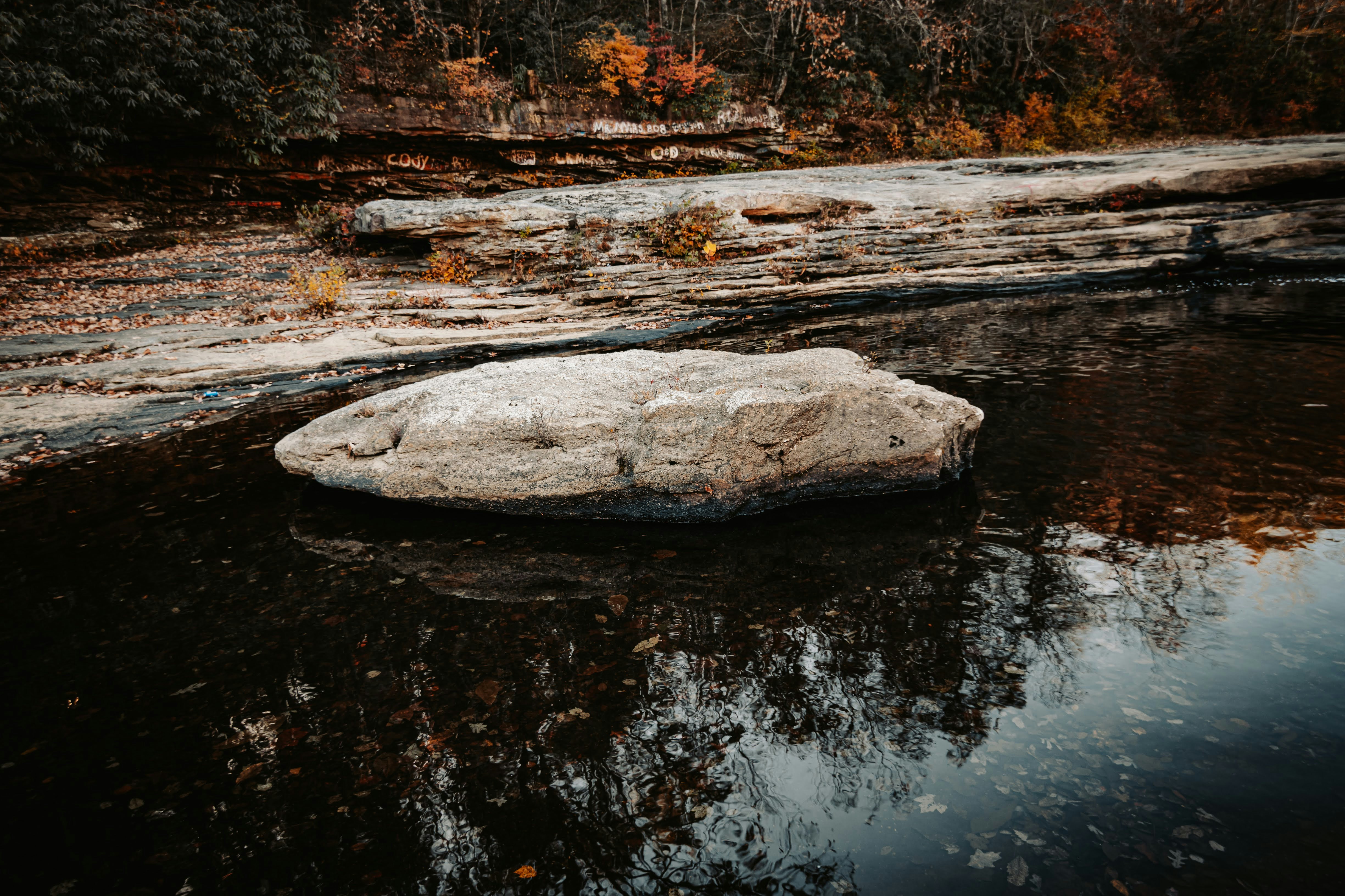 Photo by brice_cooper18