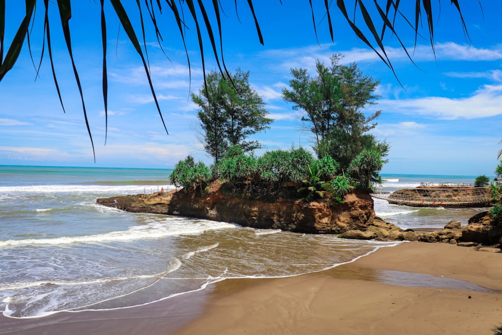 a beach with trees and rocks