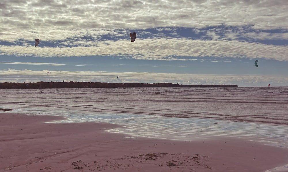 a group of people parasailing on a beach