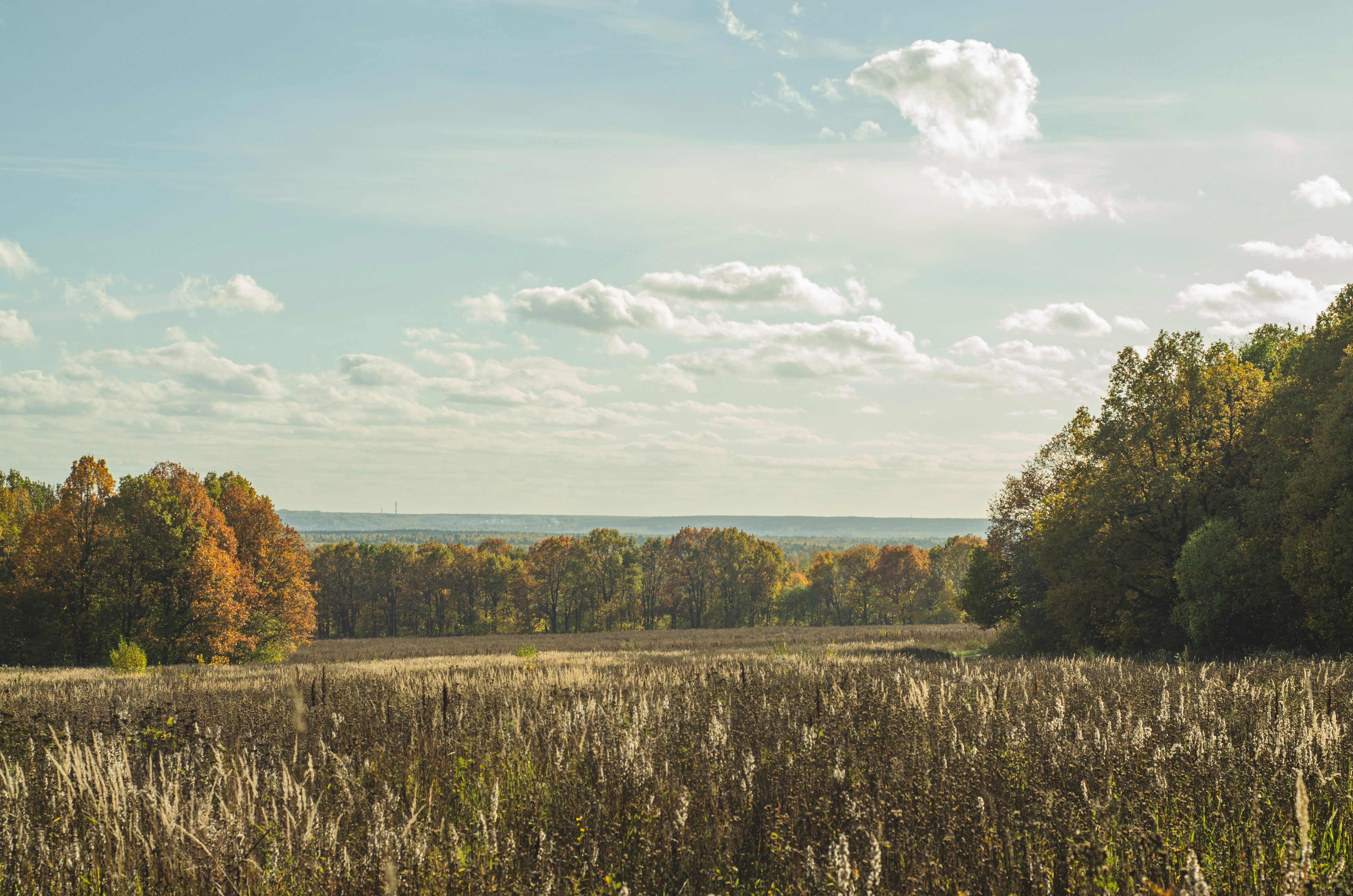 Photo by indi_grunge