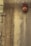 A weathered wall with a rusty, red fire alarm bell. There is a small, frosted window in the top left corner.