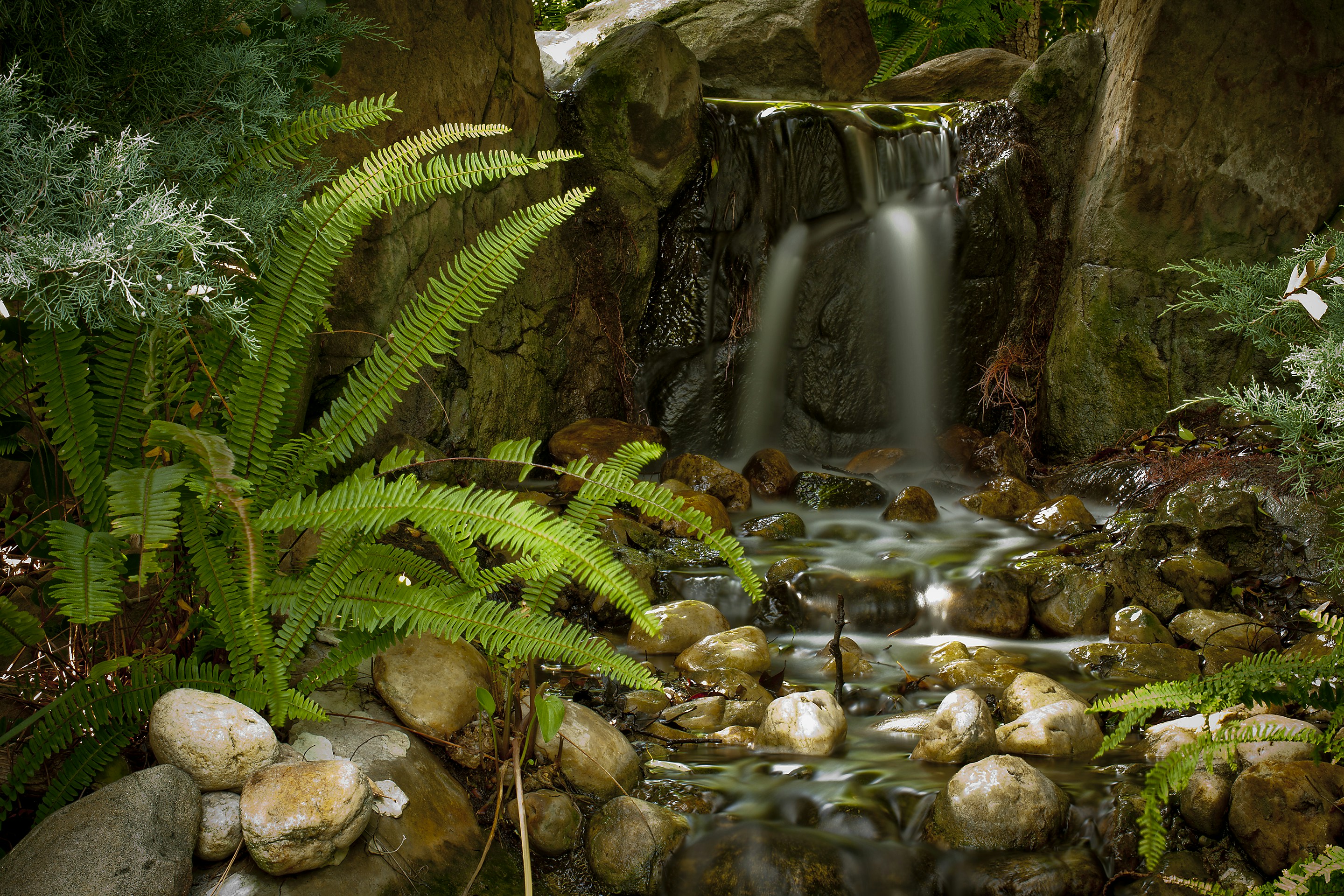 Photo by sketcher1084