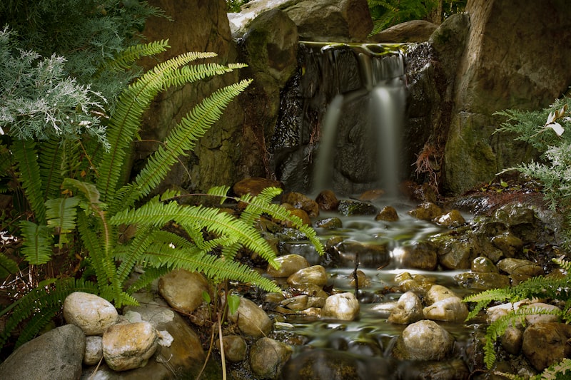 Nature