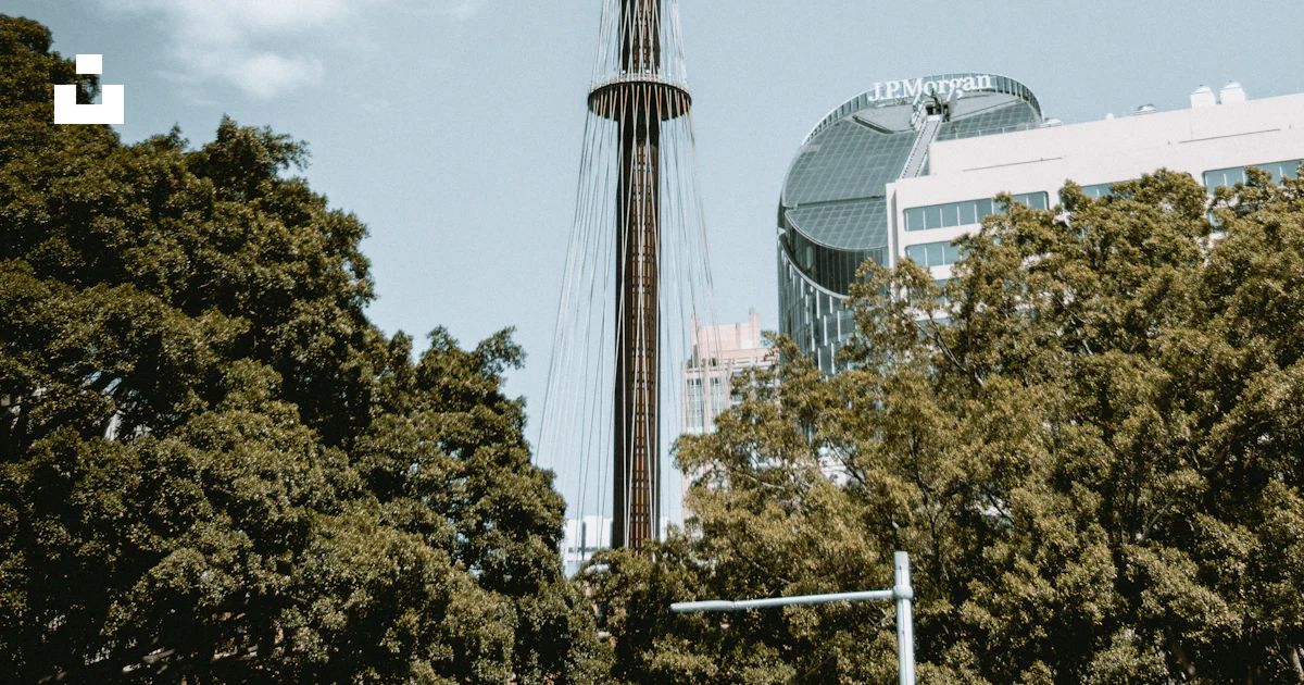 Una Torre Alta Con rboles Frente A Ella Foto Imagen De Arquitectura una-torre-alta-con-rboles-frente-a-ella-foto-imagen-de-arquitectura