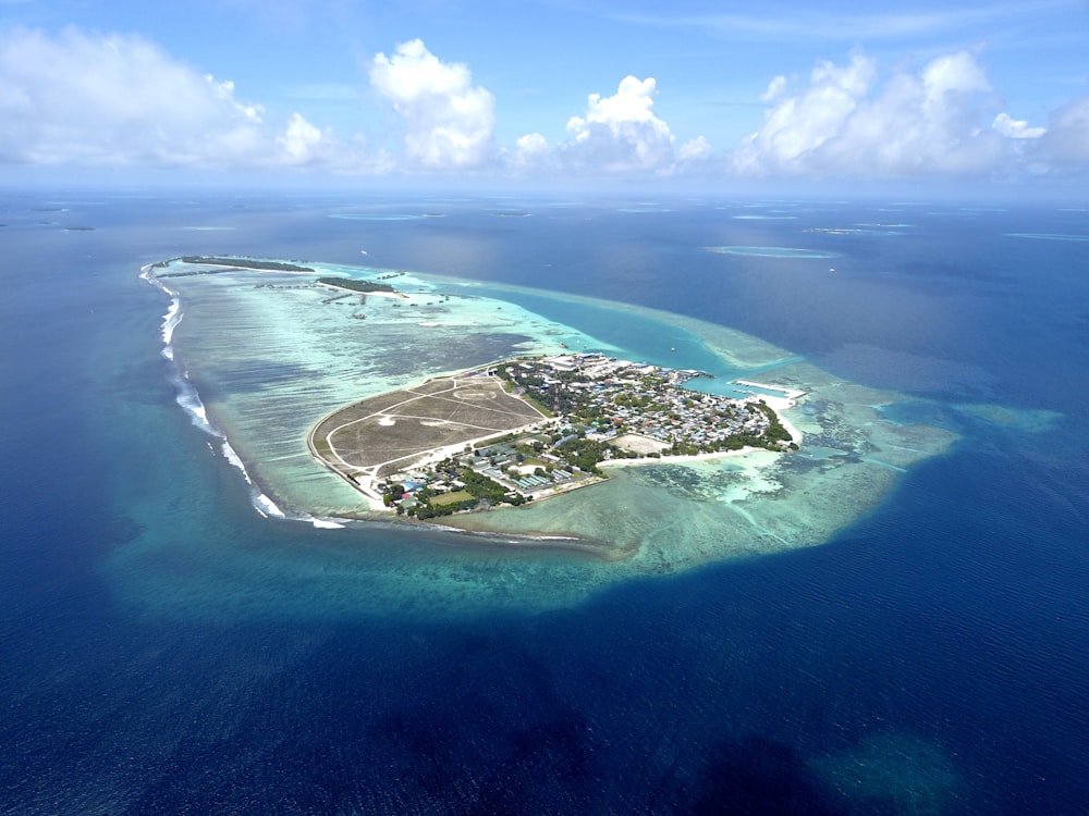 an island in the ocean with Lady Elliot Island in the background