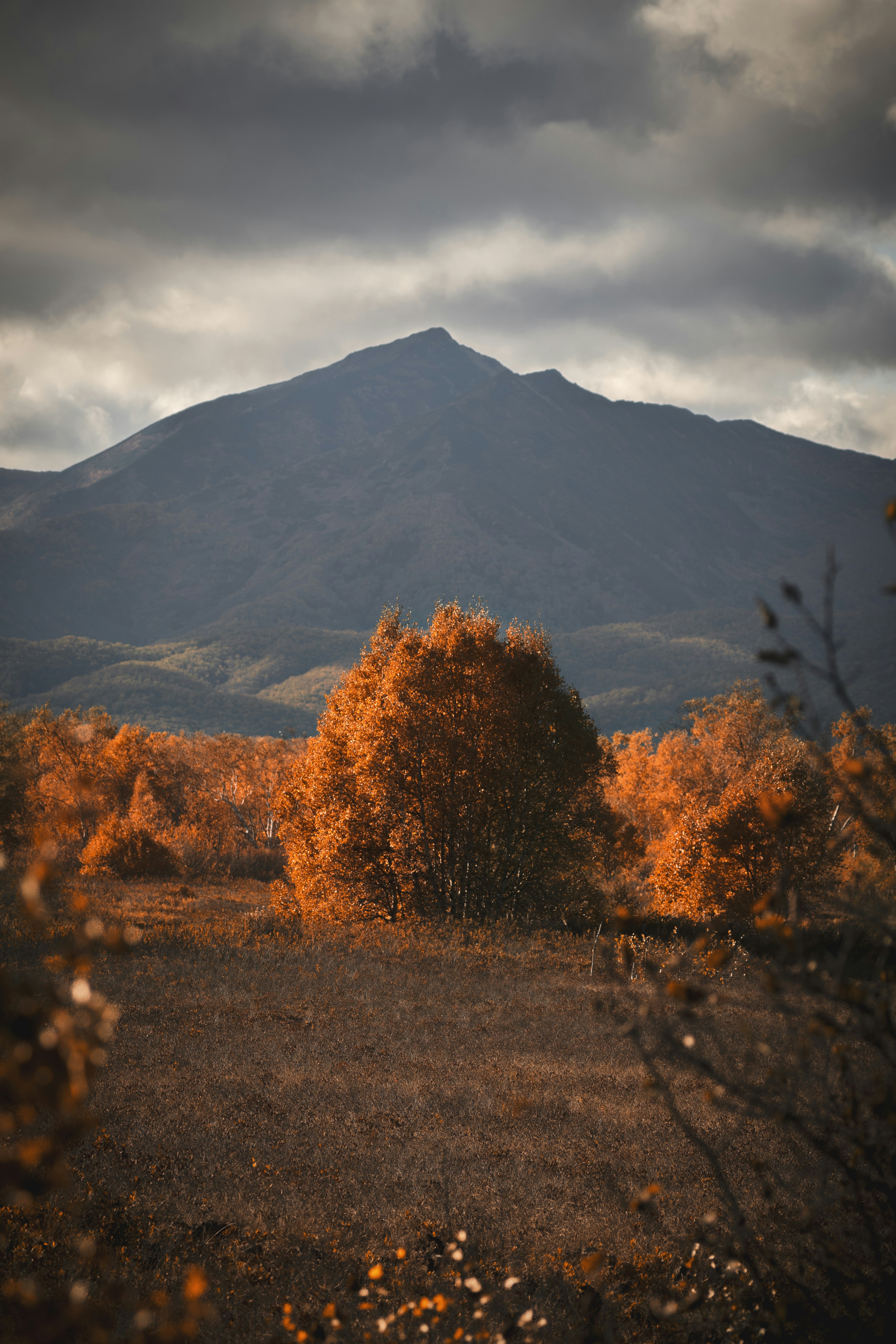 Photo by alexjweast