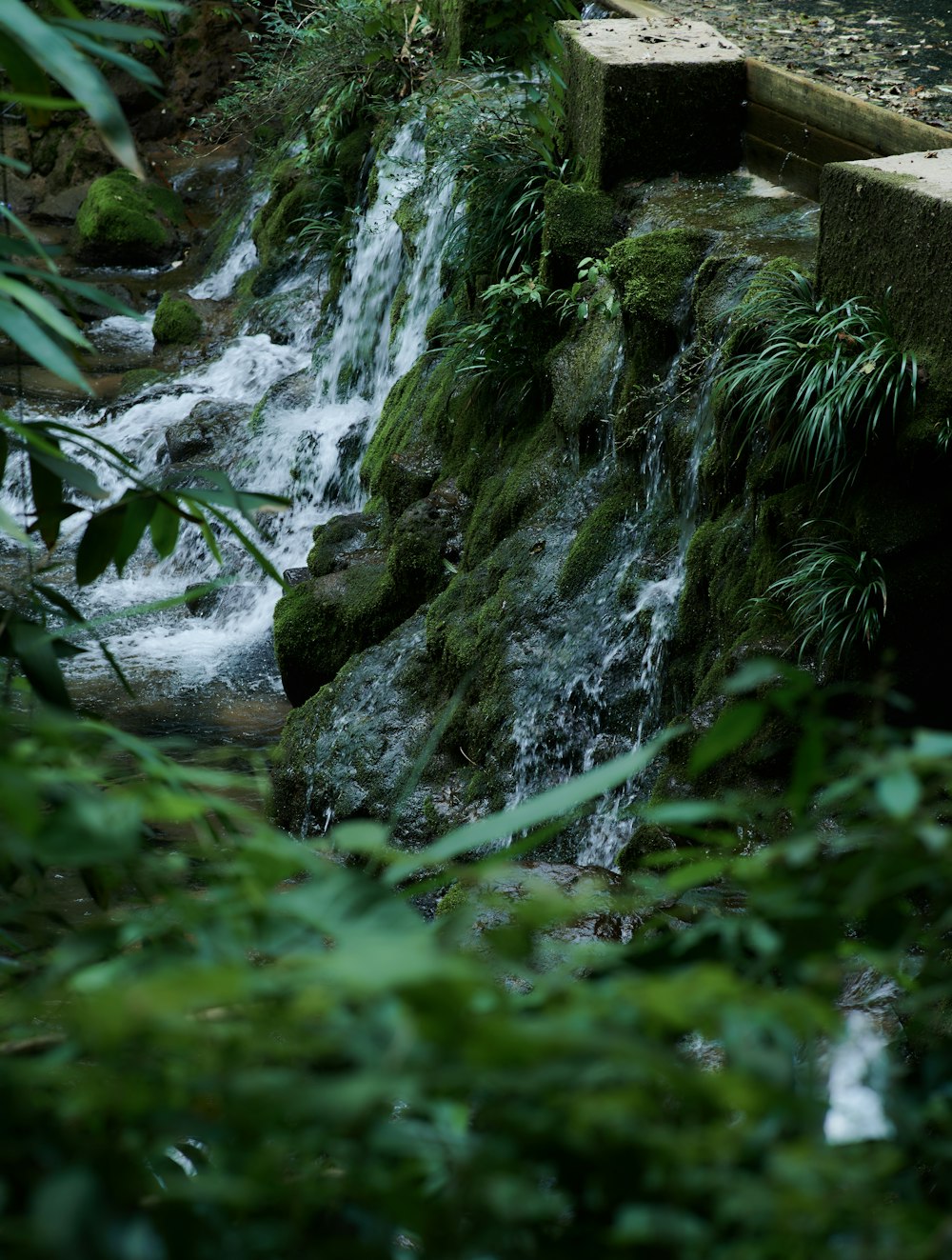 a waterfall in a forest