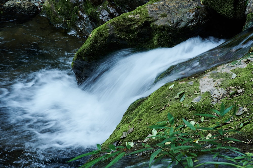 a small waterfall with moss on the rocks