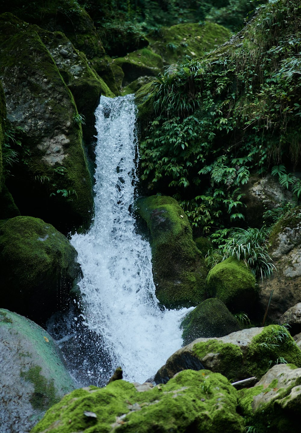 a waterfall in a forest