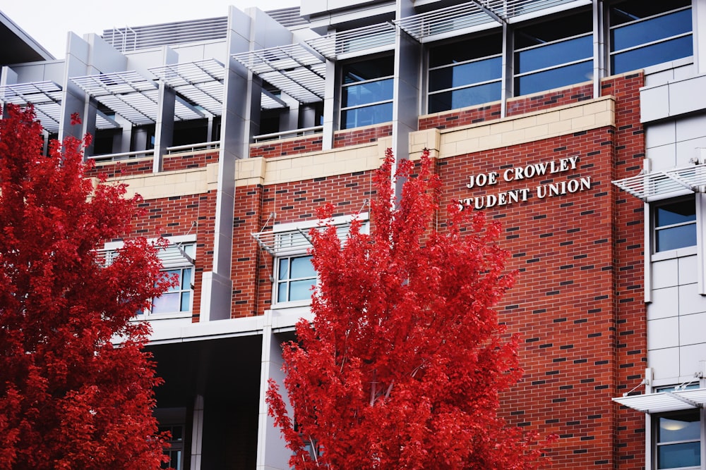 a building with a tree in front