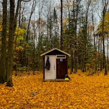A small brown outhouse stands in a forest surrounded by autumn foliage. Fallen yellow and orange leaves carpet the ground, and leafless trees reach up to a clear sky. A black jacket hangs on the door of the outhouse, and a small backpack and yellow bag sit on the ground nearby.