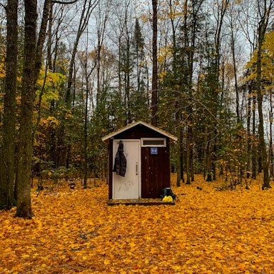A small brown outhouse stands in a forest surrounded by autumn foliage. Fallen yellow and orange leaves carpet the ground, and leafless trees reach up to a clear sky. A black jacket hangs on the door of the outhouse, and a small backpack and yellow bag sit on the ground nearby.