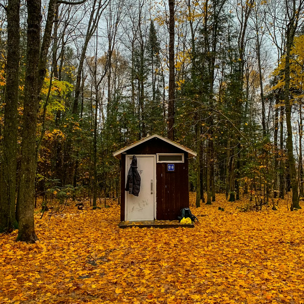 a small shed in a forest