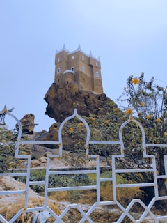 a castle on a cliff
