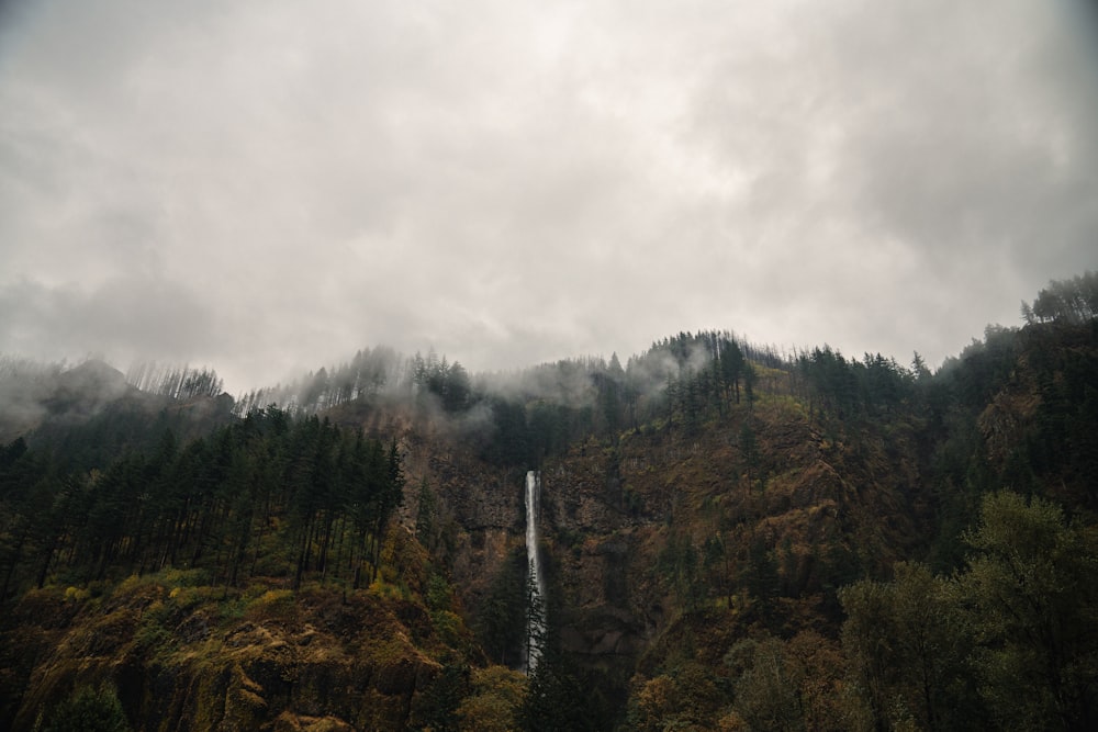 a waterfall in a forest