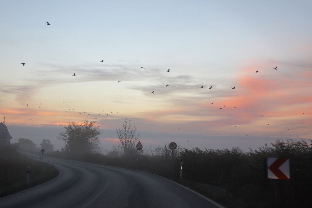 a road with birds flying in the sky