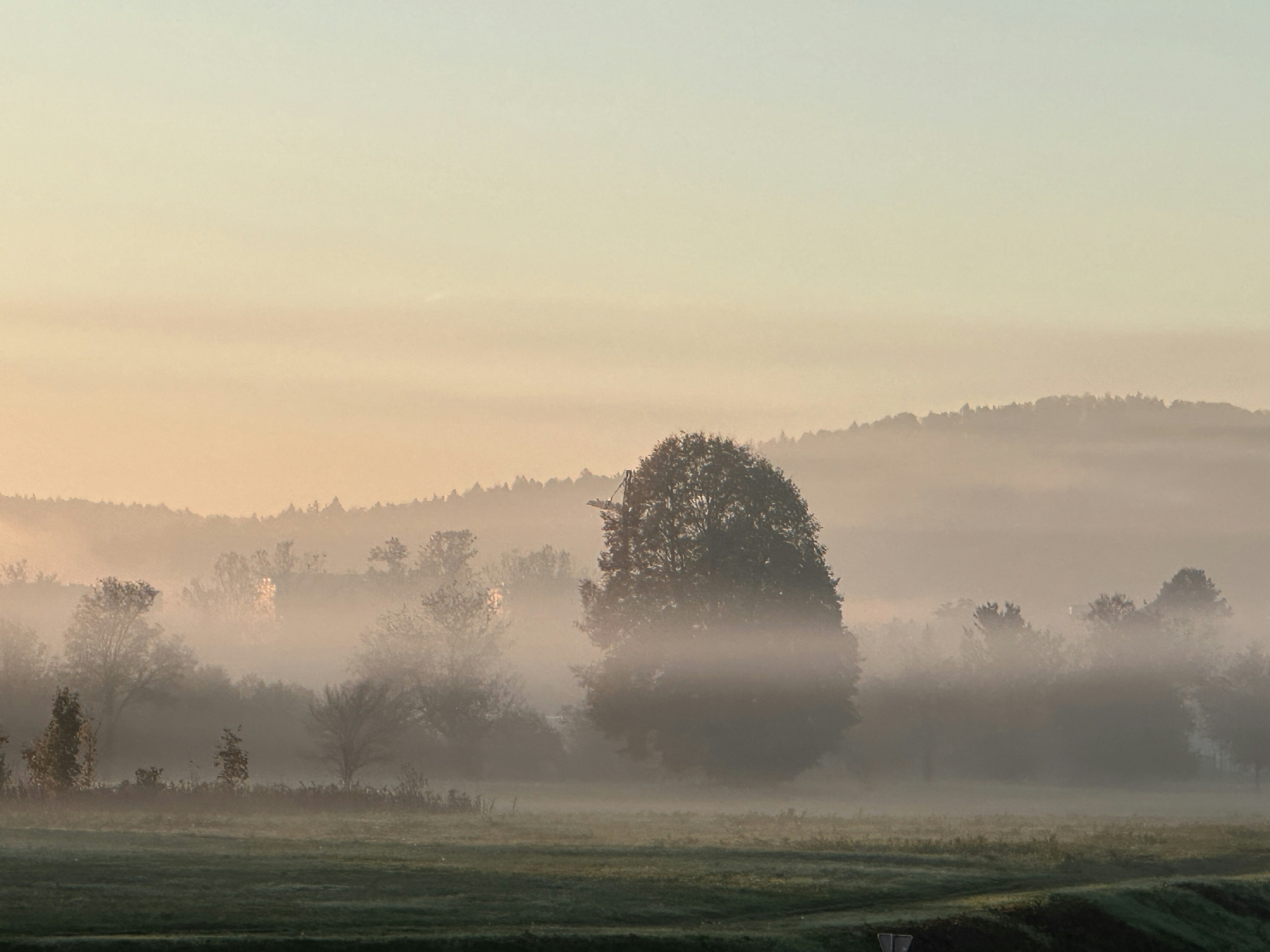 Photo by tomaztk2022