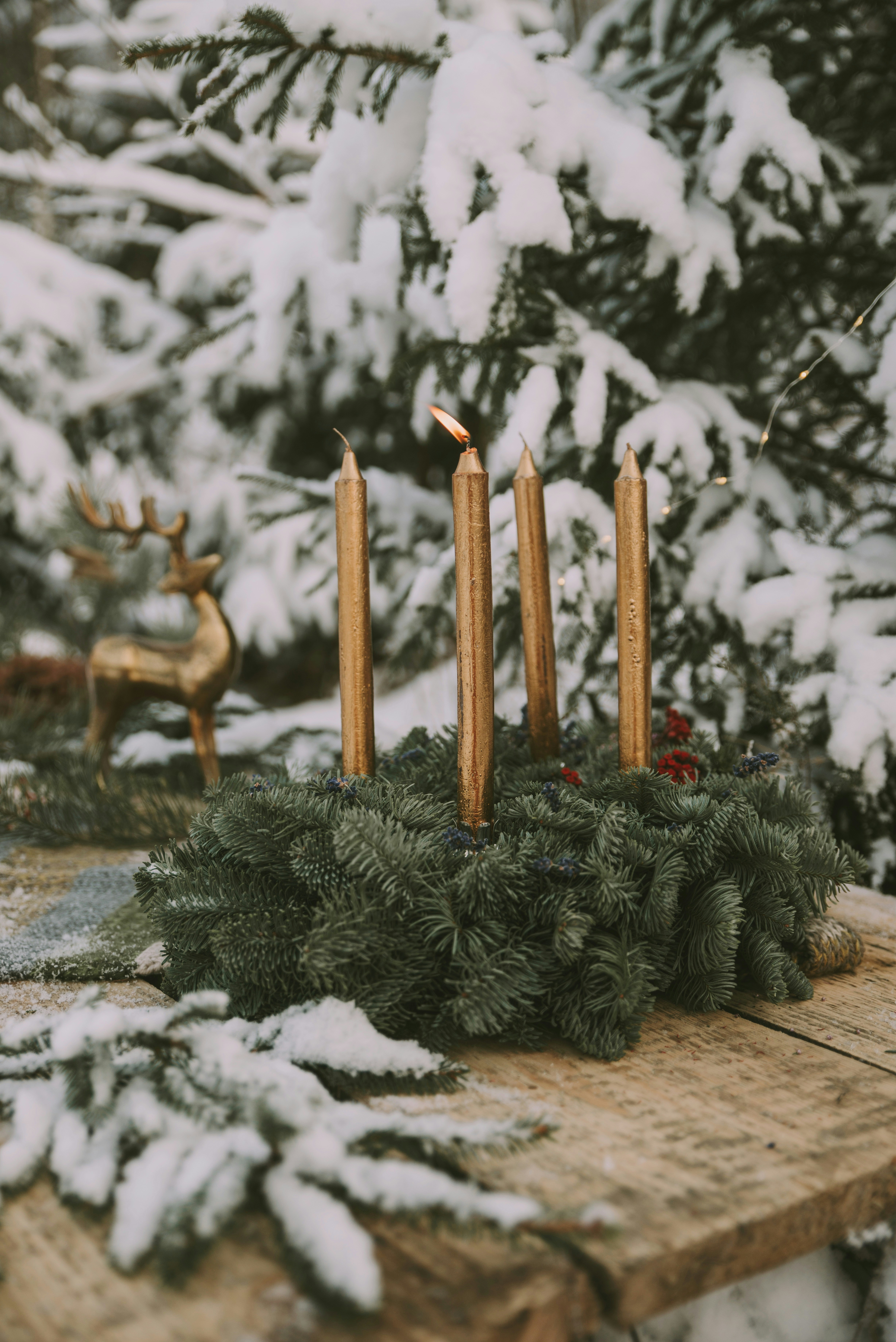 Photo by anitaaustvika