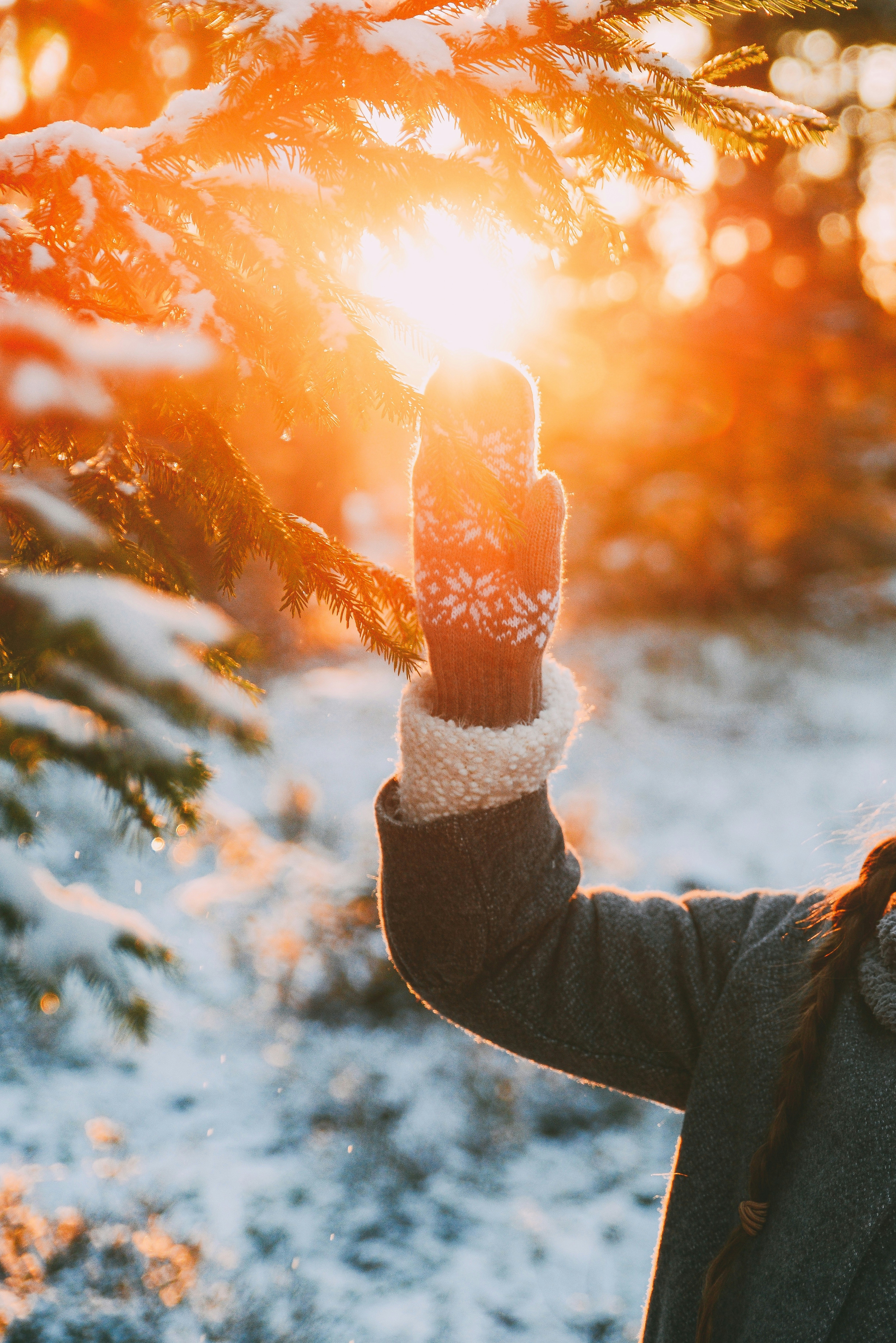 Photo by anitaaustvika