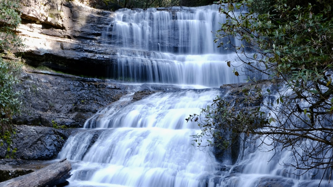 a waterfall with trees around it,