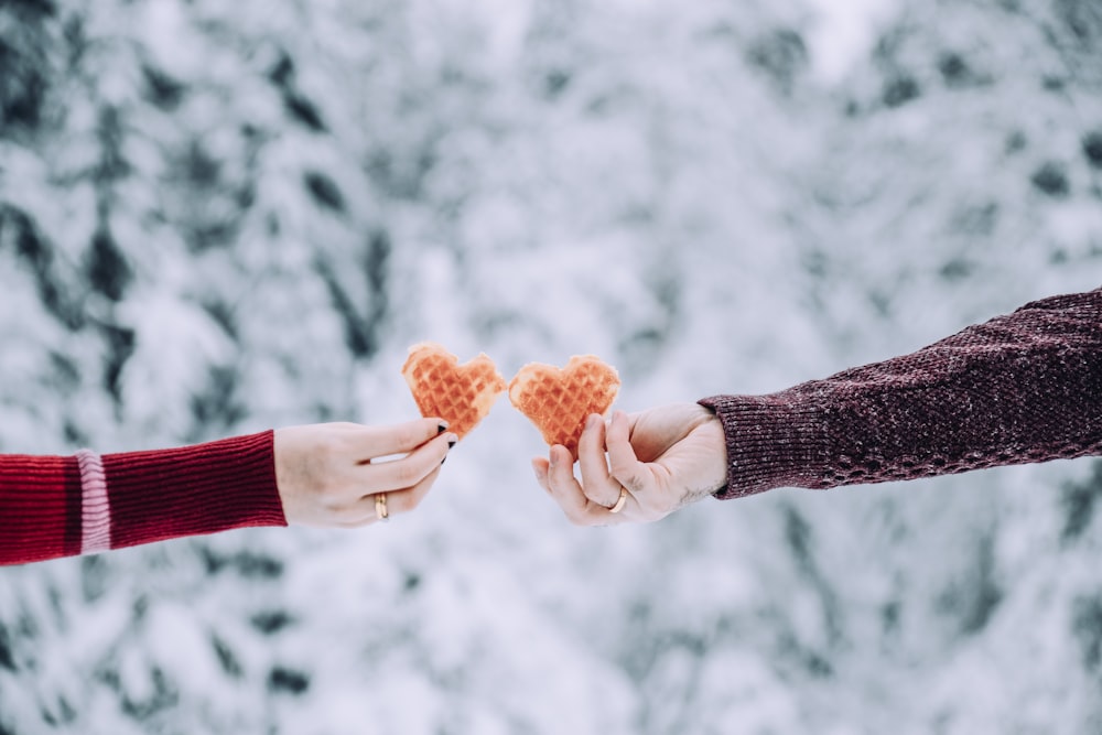 hands holding a heart shaped cookie