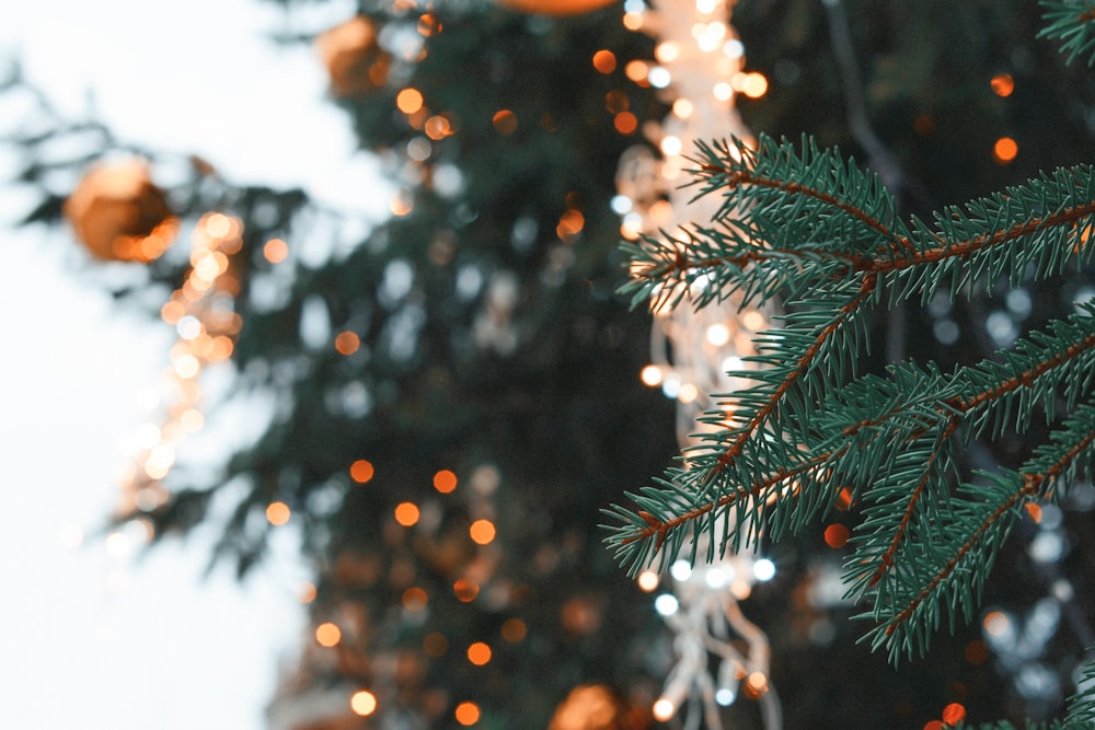 Un árbol con luces