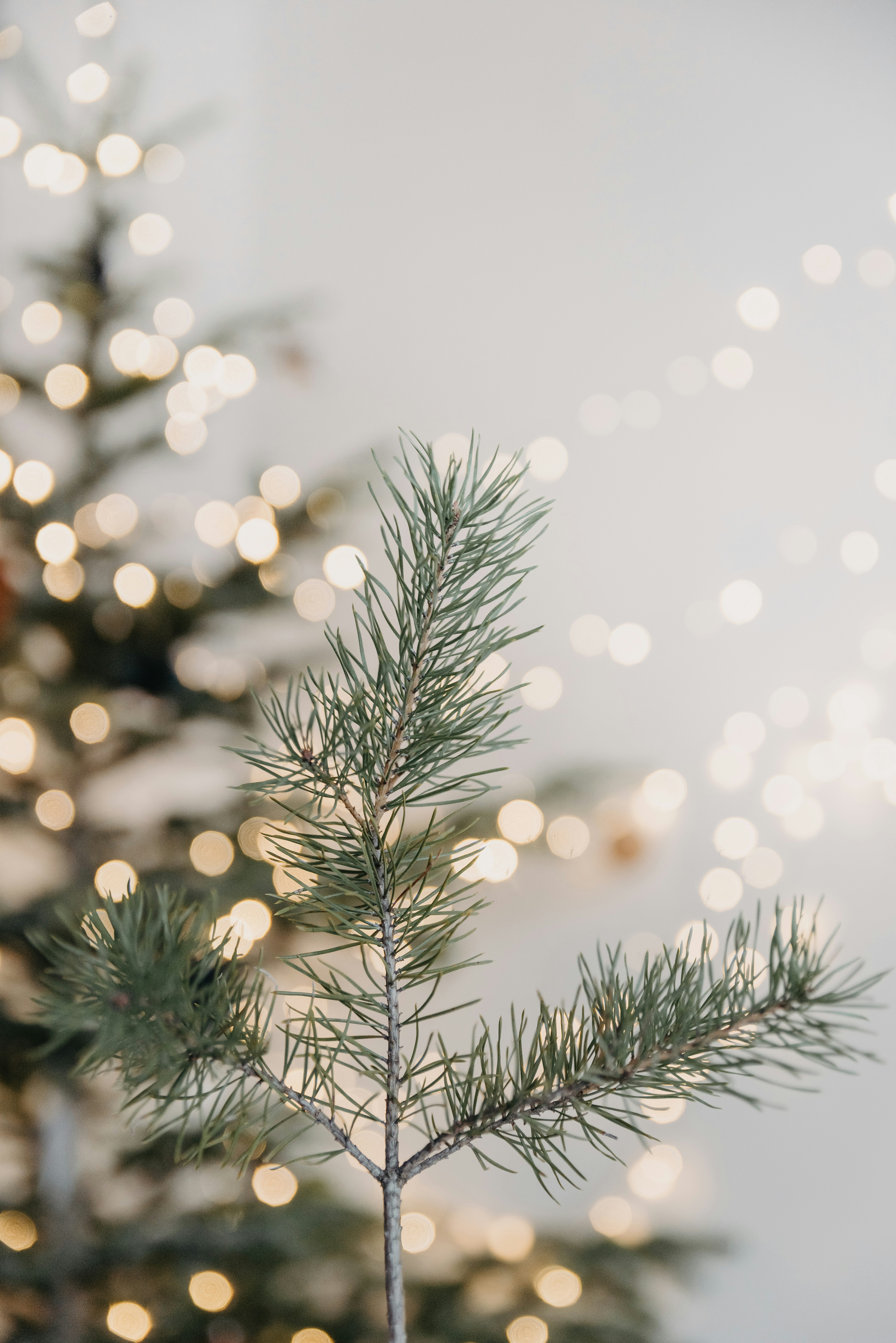 Photo by anitaaustvika