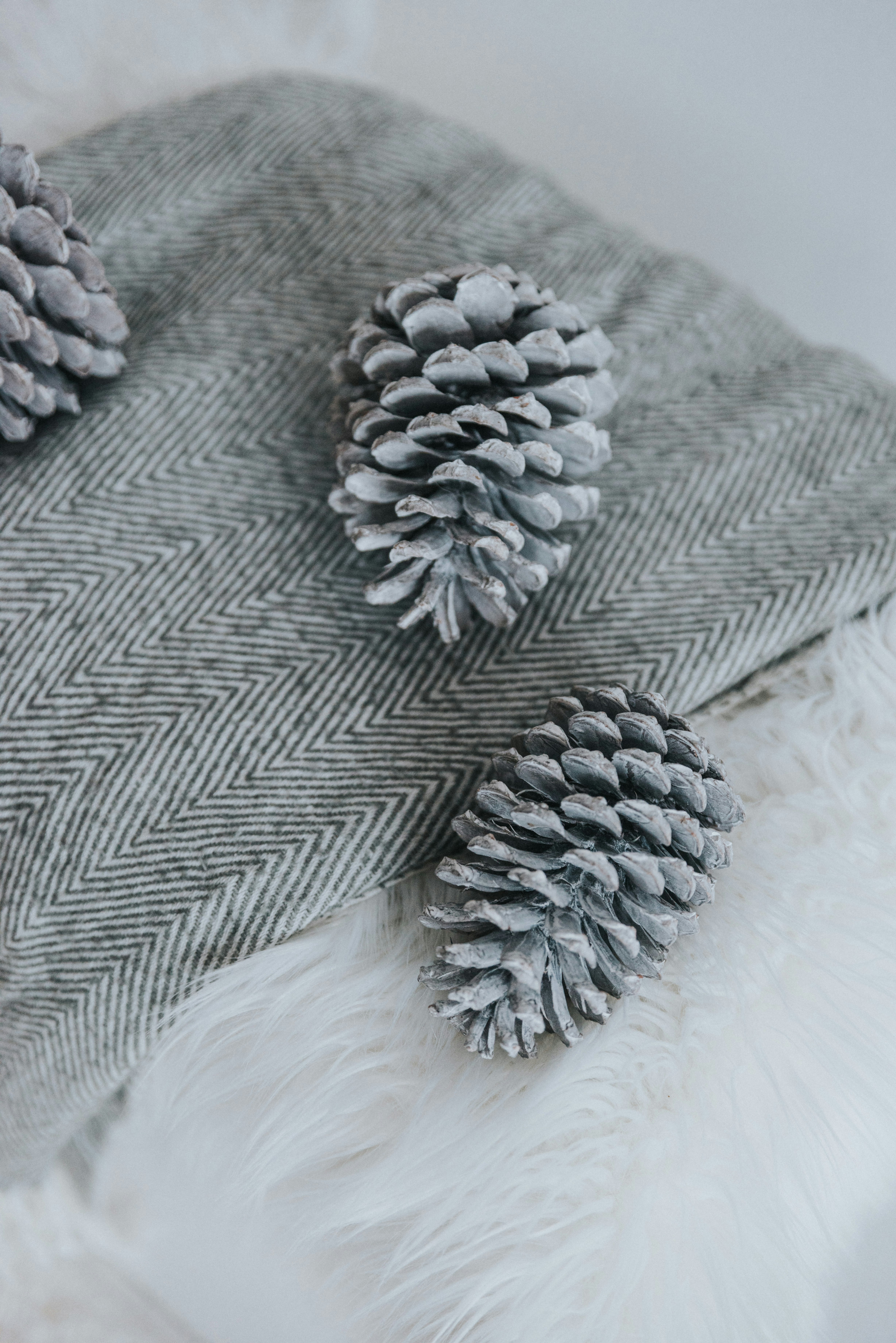 6 Plus-Size Workwear Materials Perfect for Winter Warmth