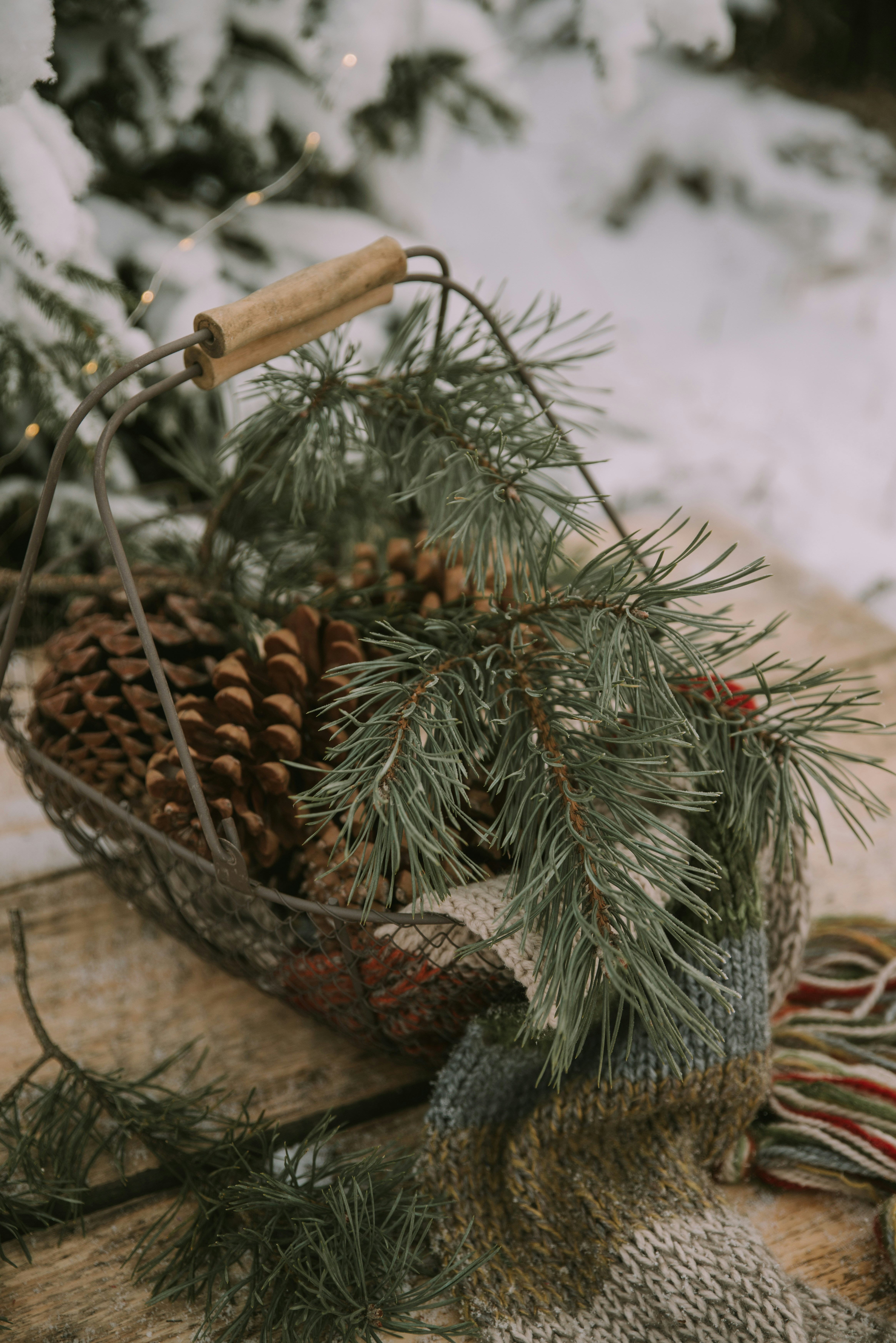 Photo by anitaaustvika