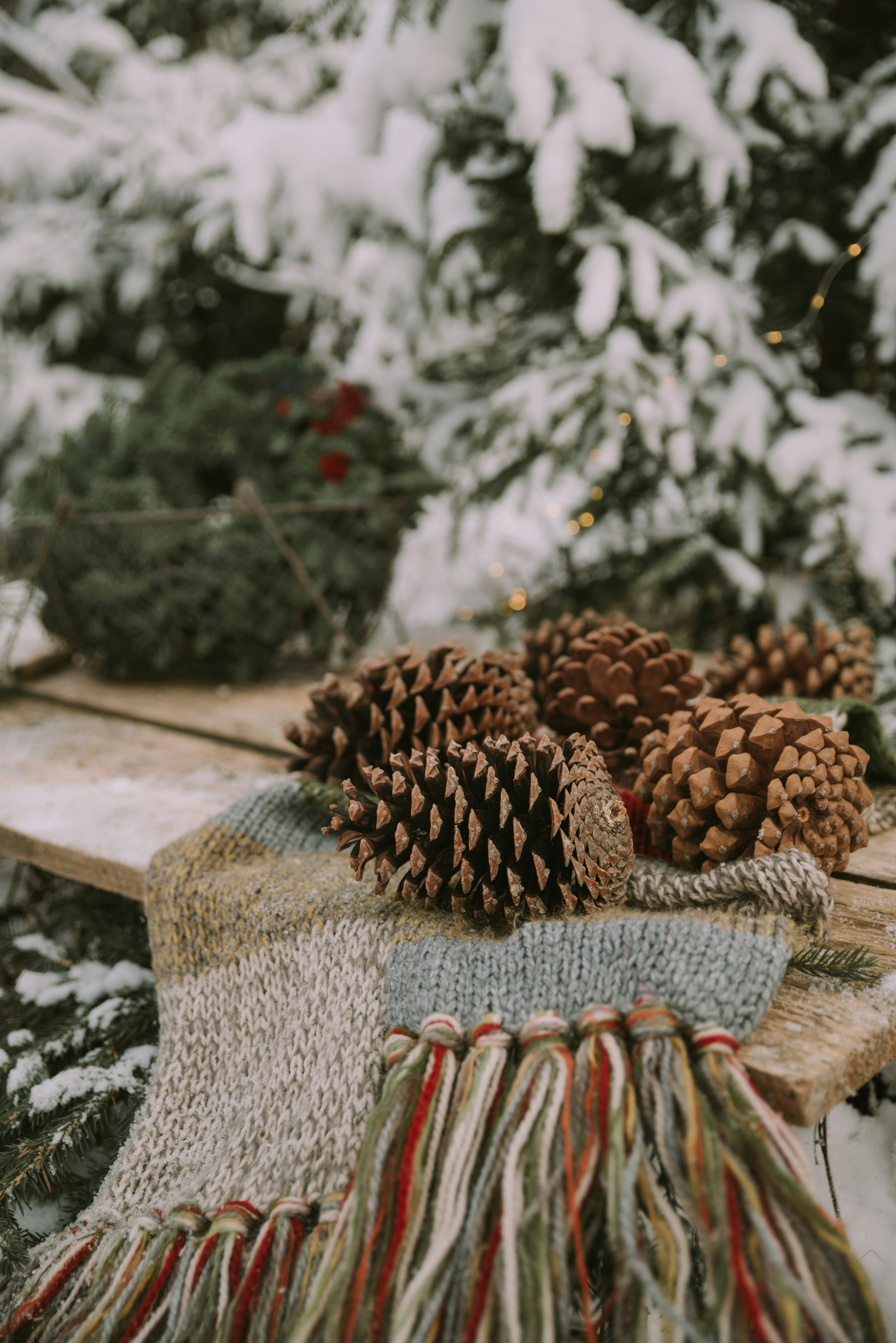 Photo by anitaaustvika