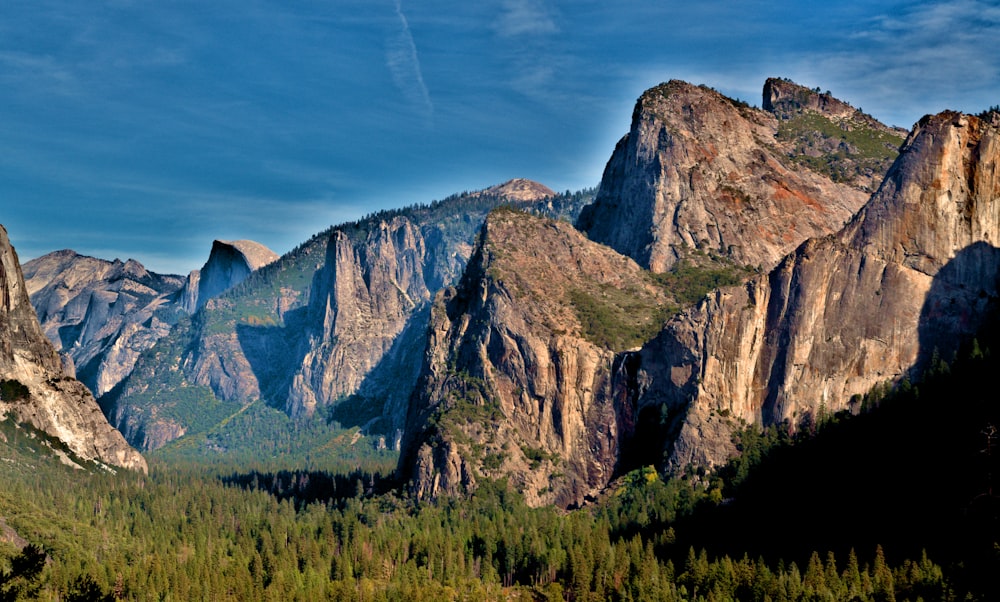 a mountain range with trees