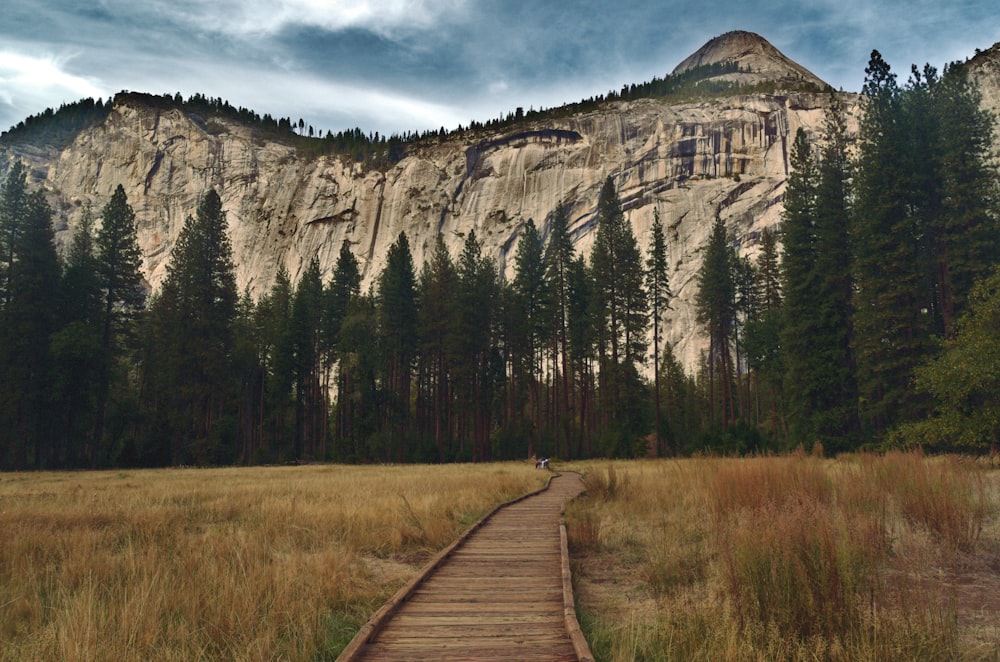 a wooden walkway leading to a large rock cliff with trees and grass